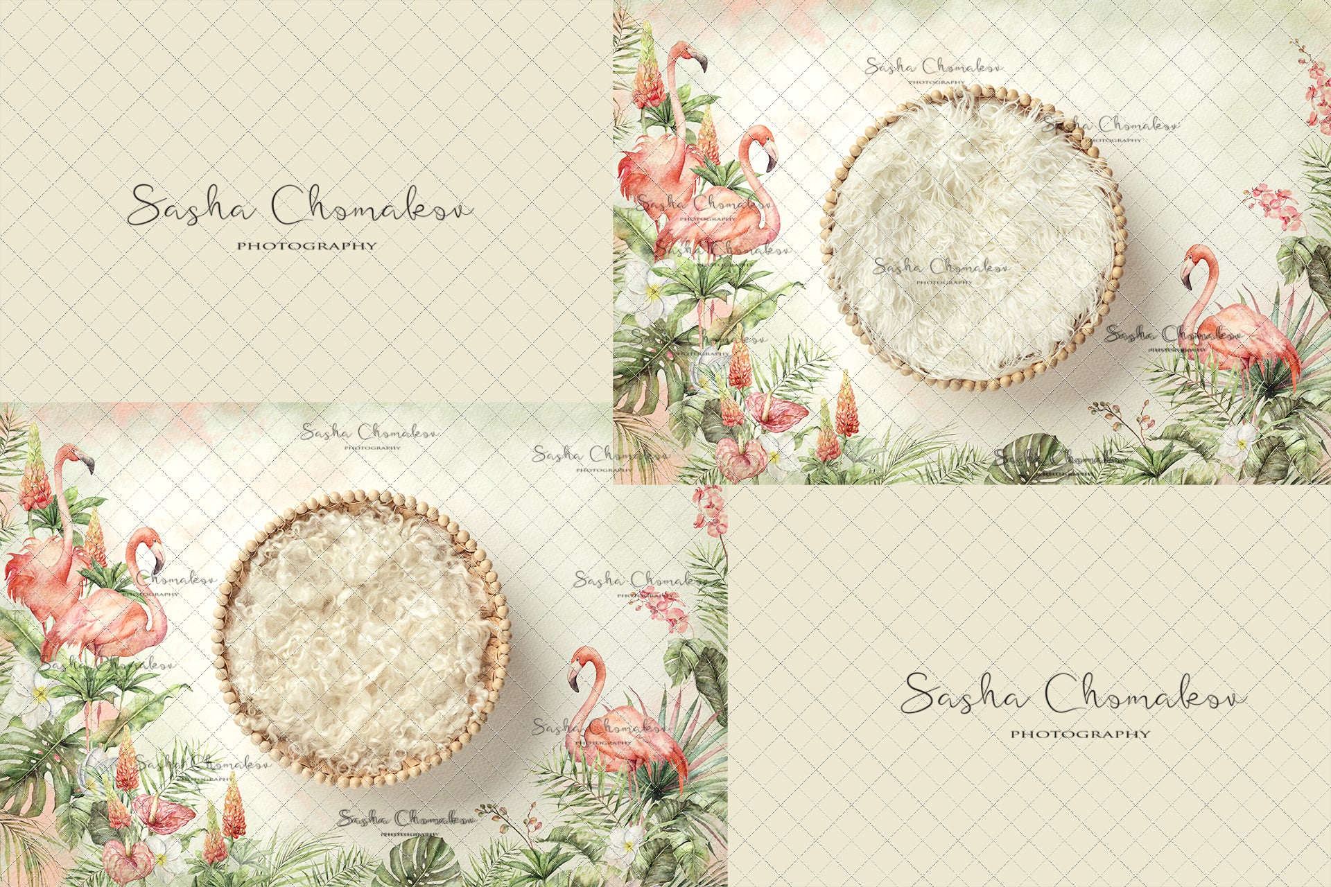 Digital Backdrop