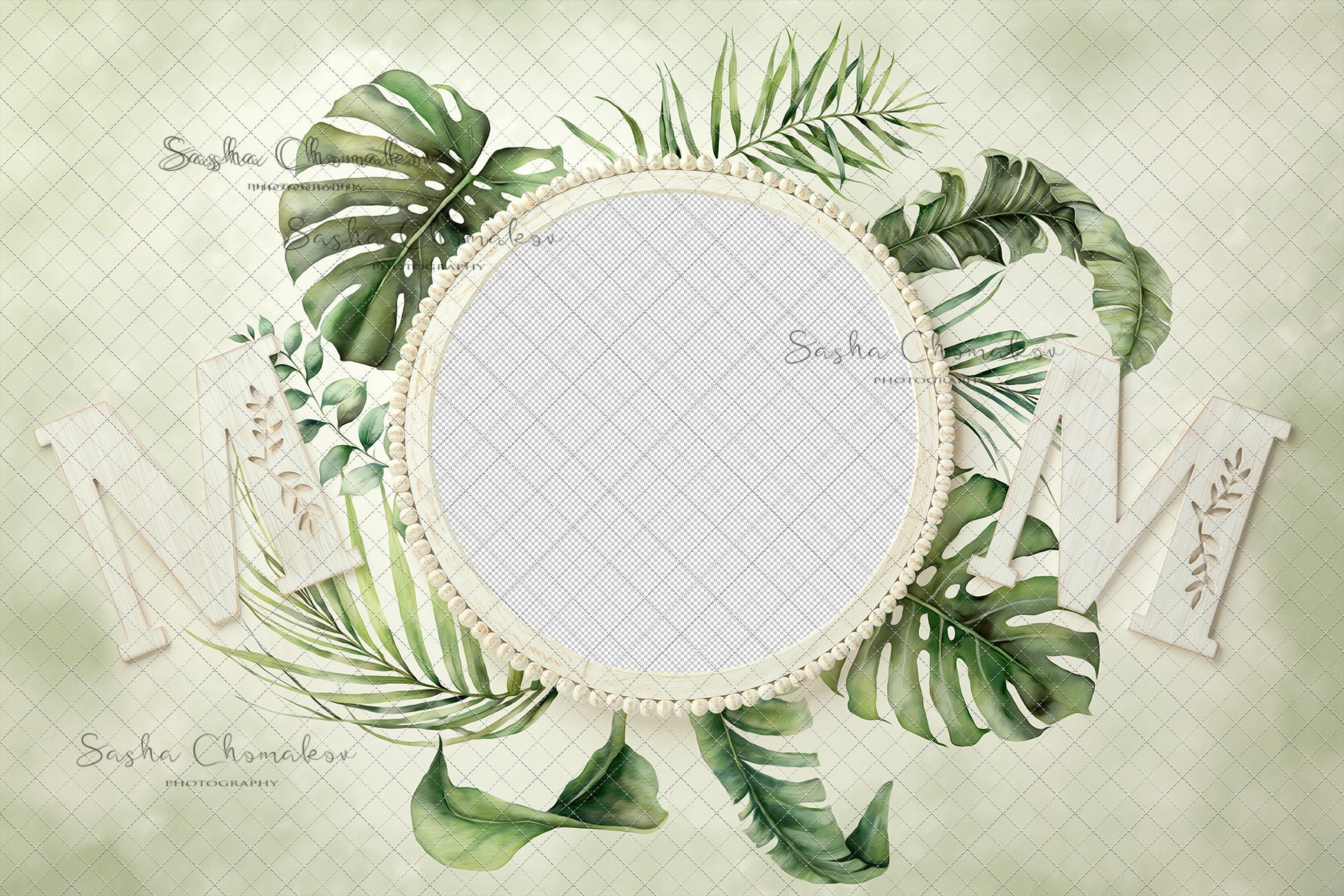Digital Backdrop