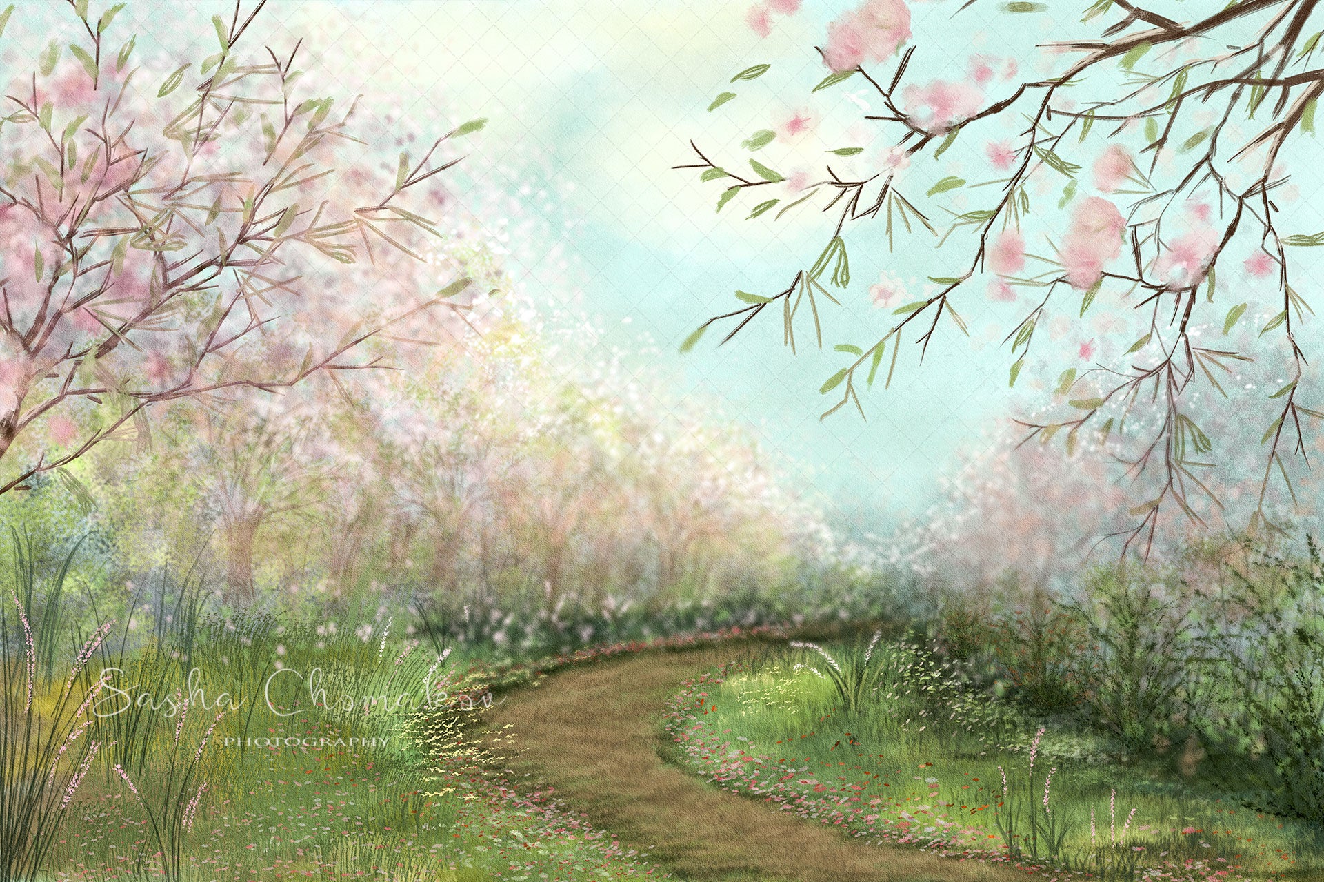 Digital Backdrop