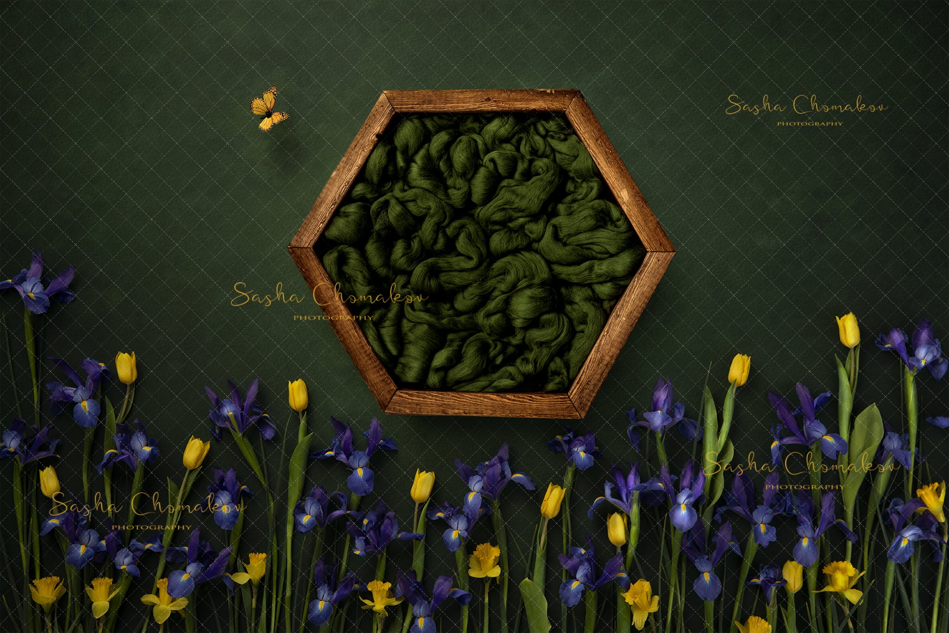Digital Backdrop
