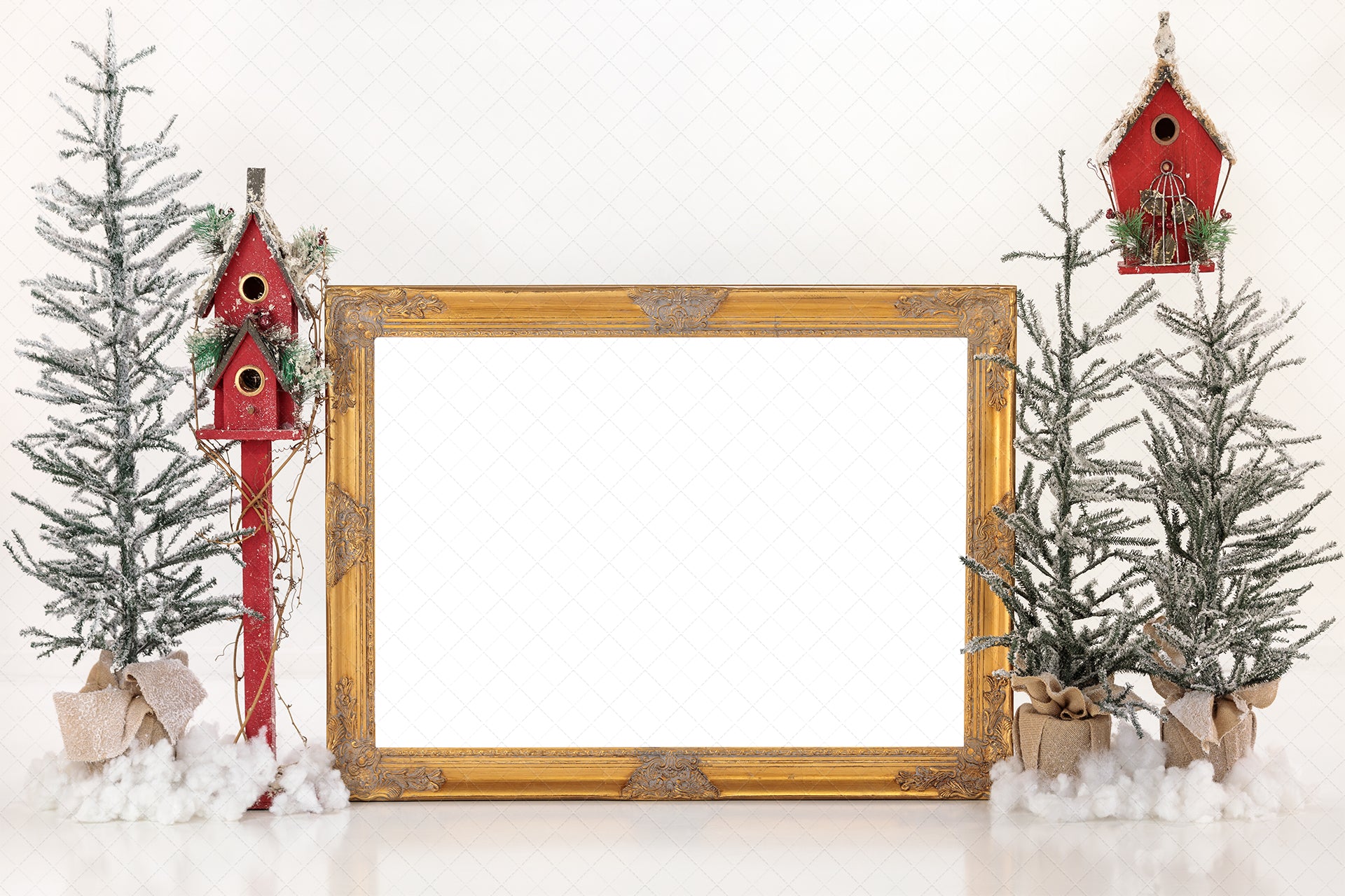 Digital Backdrop
