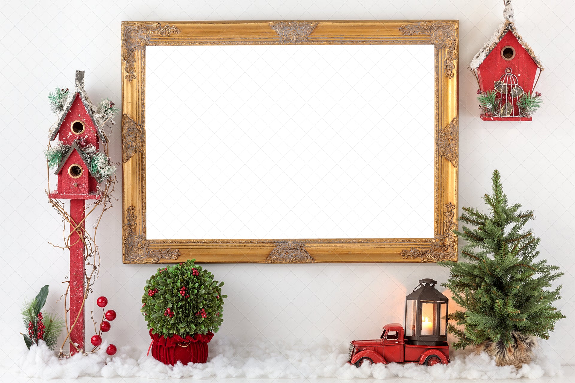 Digital Backdrop