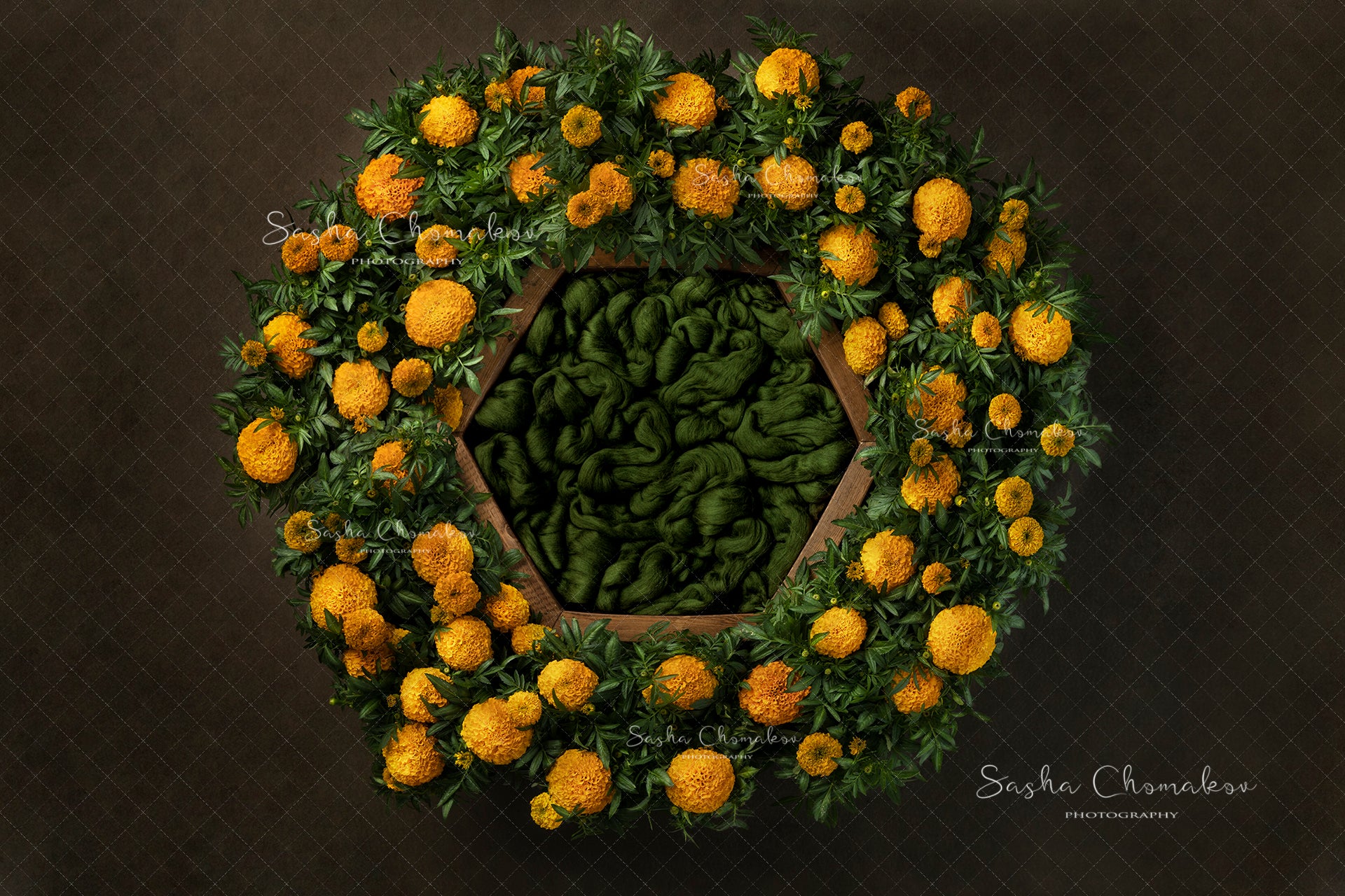 Digital Backdrop