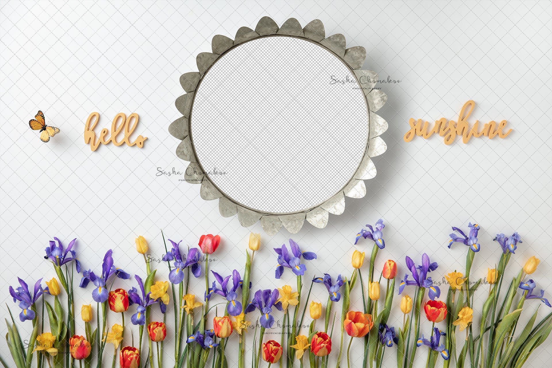 Digital Backdrop