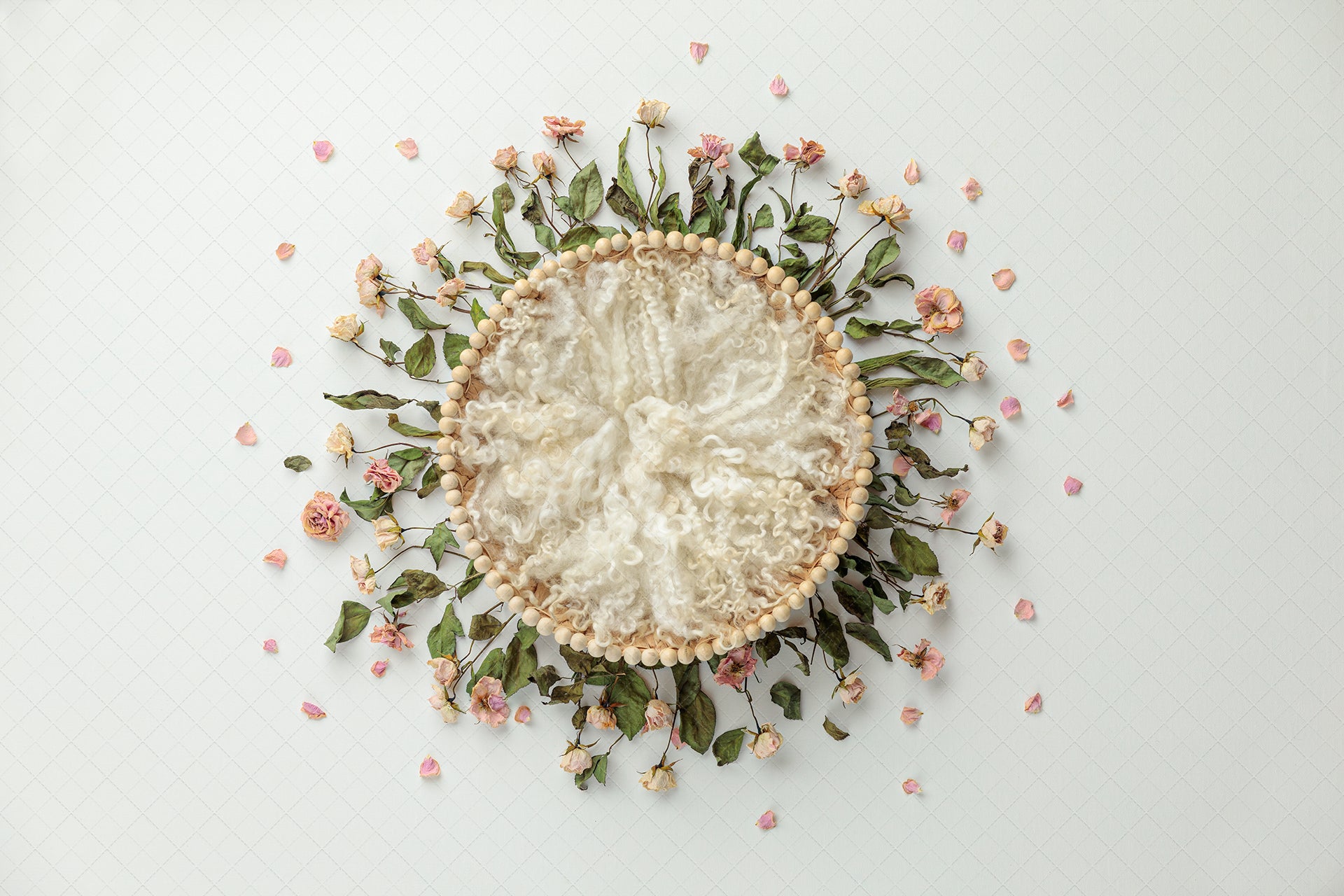 Digital Backdrop