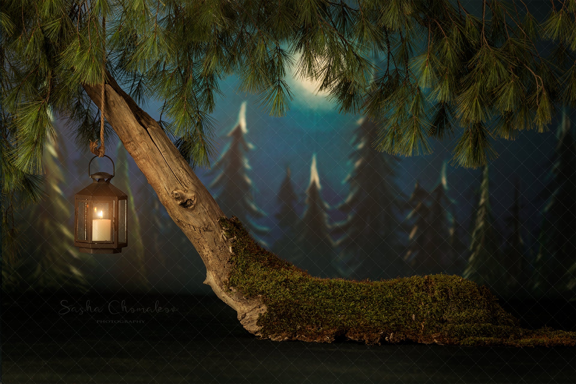 Digital Backdrop