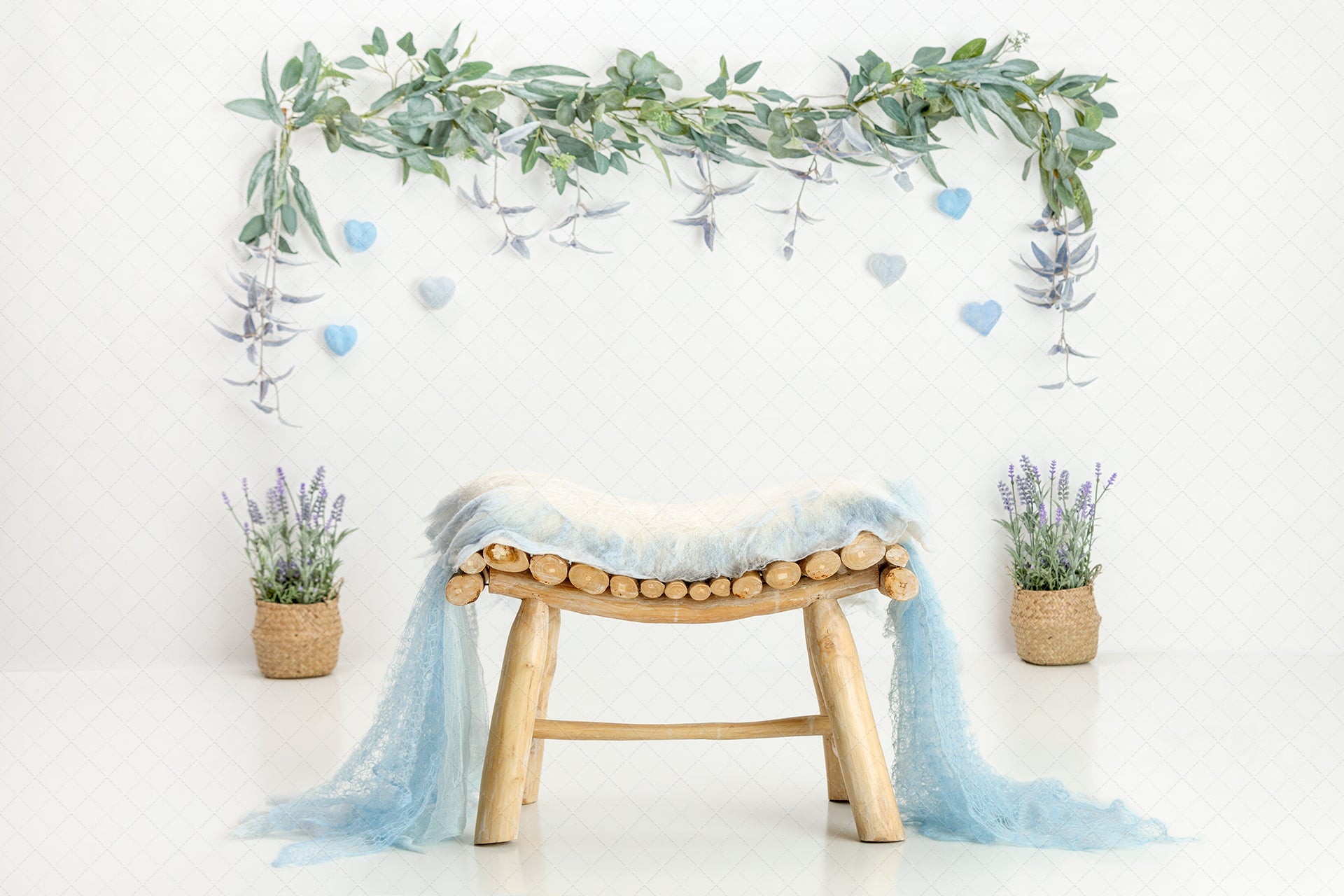 Digital Backdrop