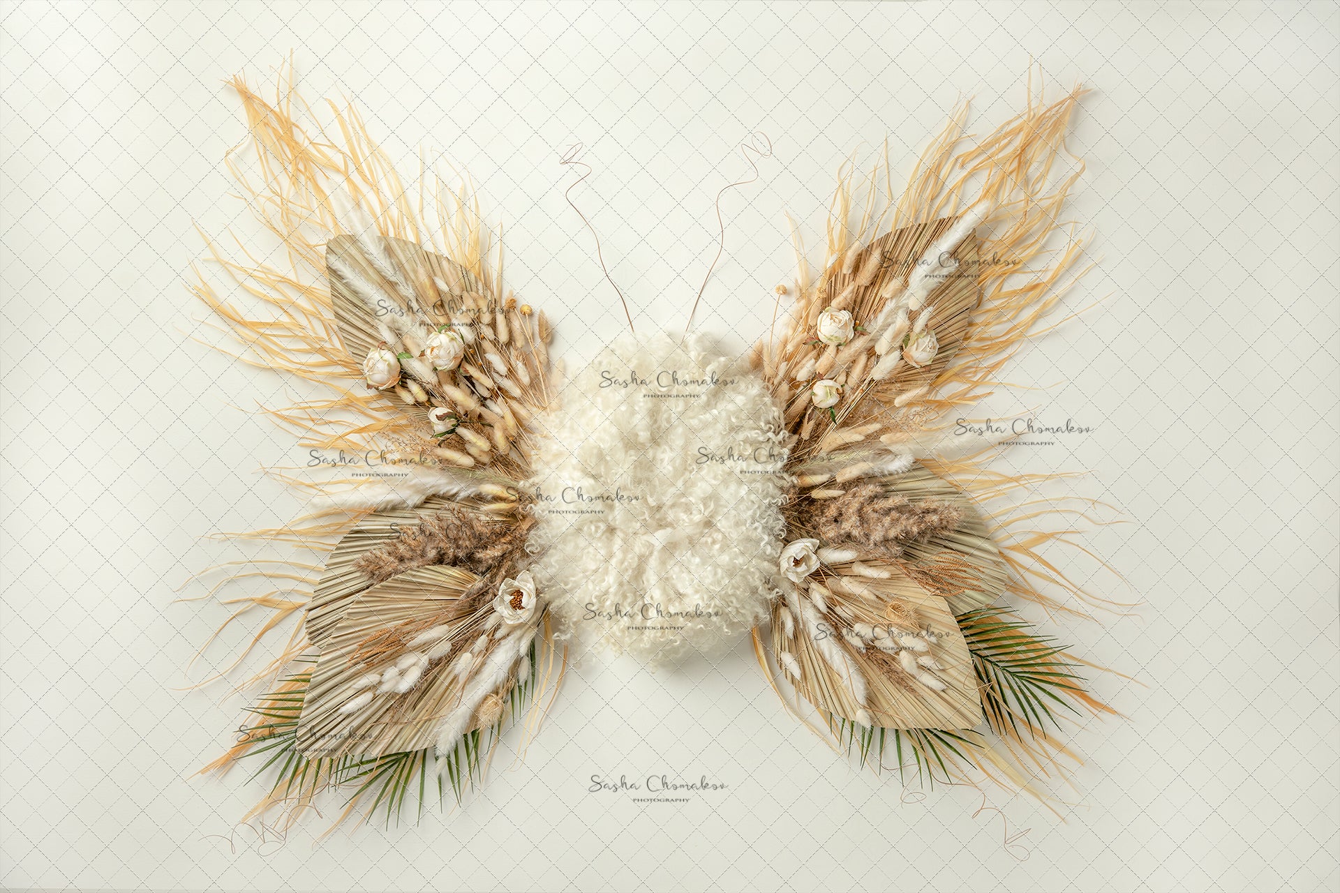Digital Backdrop