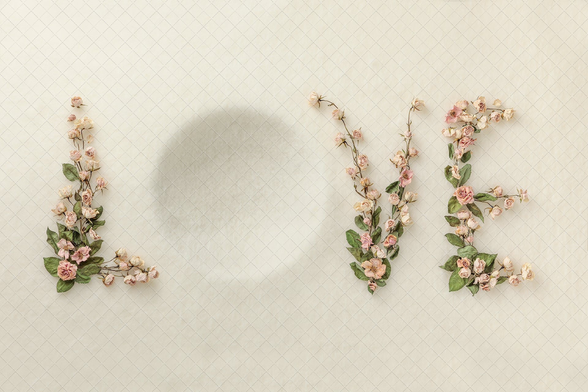 Digital Backdrop