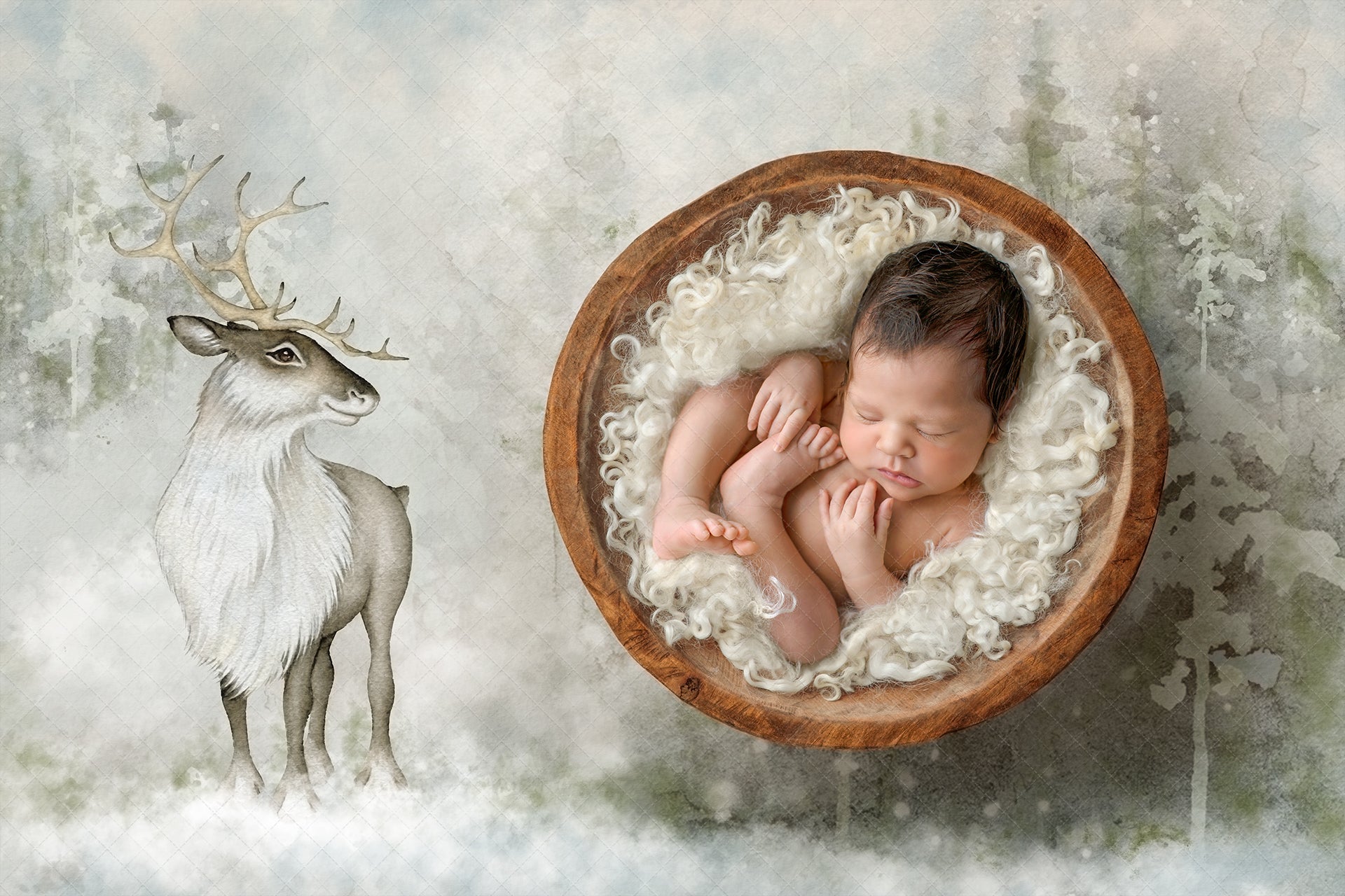 Digital Backdrop