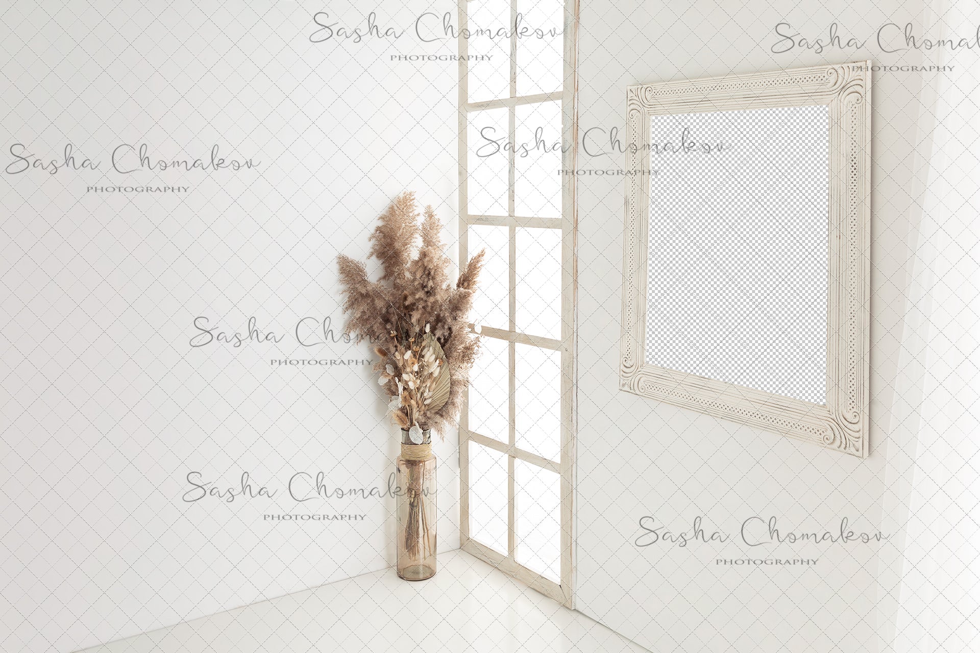 Digital Backdrop