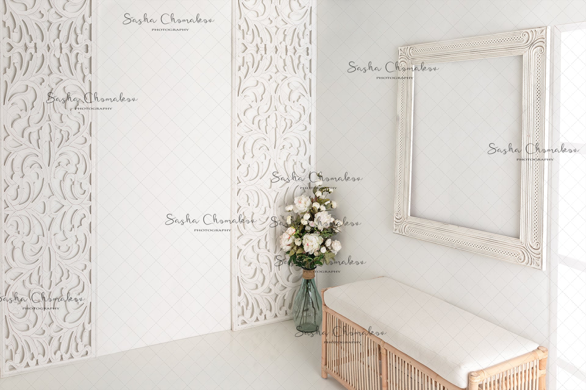 Digital Backdrop