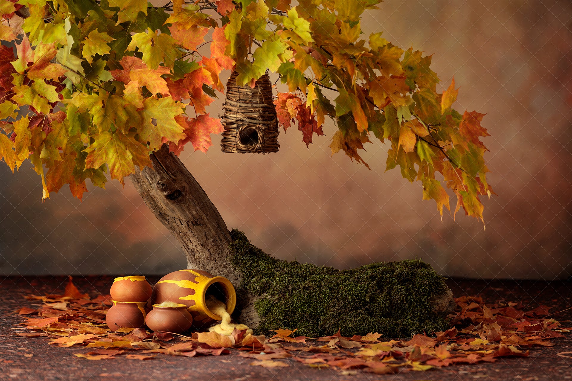 Digital Backdrop