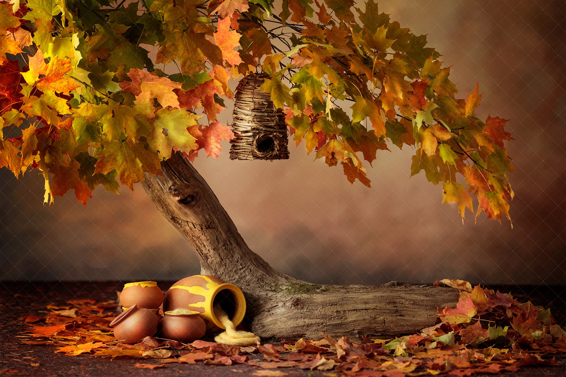 Digital Backdrop