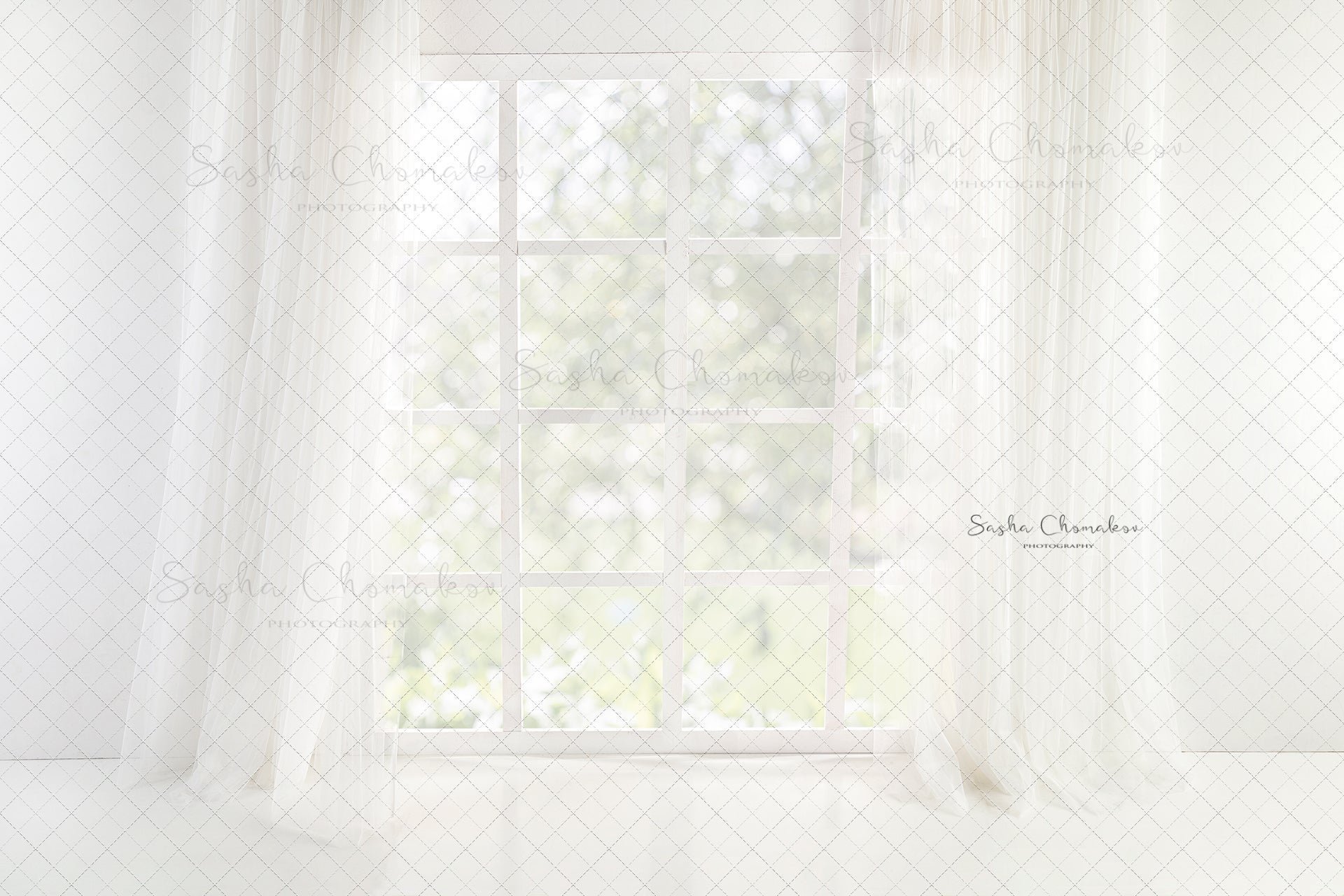 Digital Backdrop