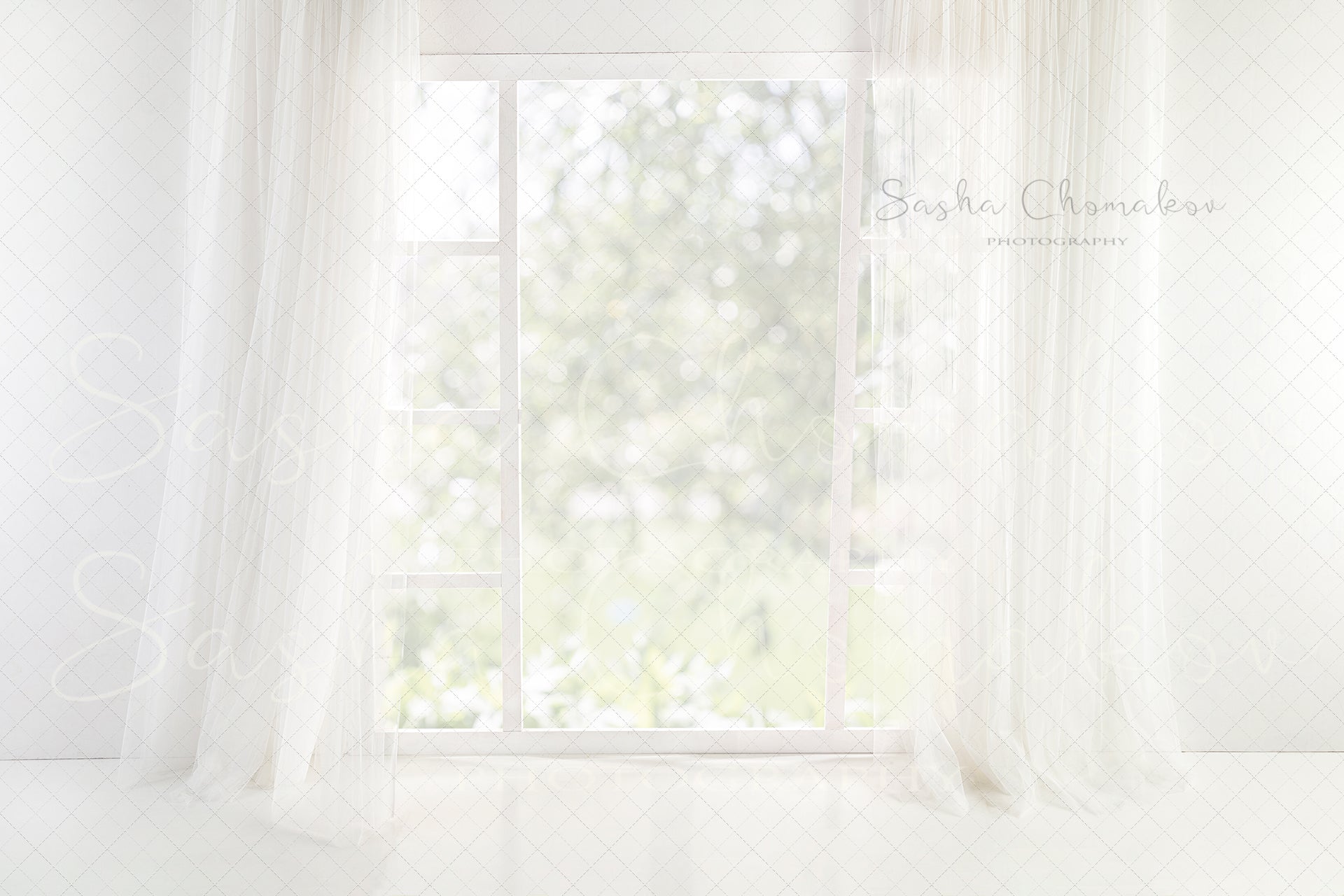 Digital Backdrop