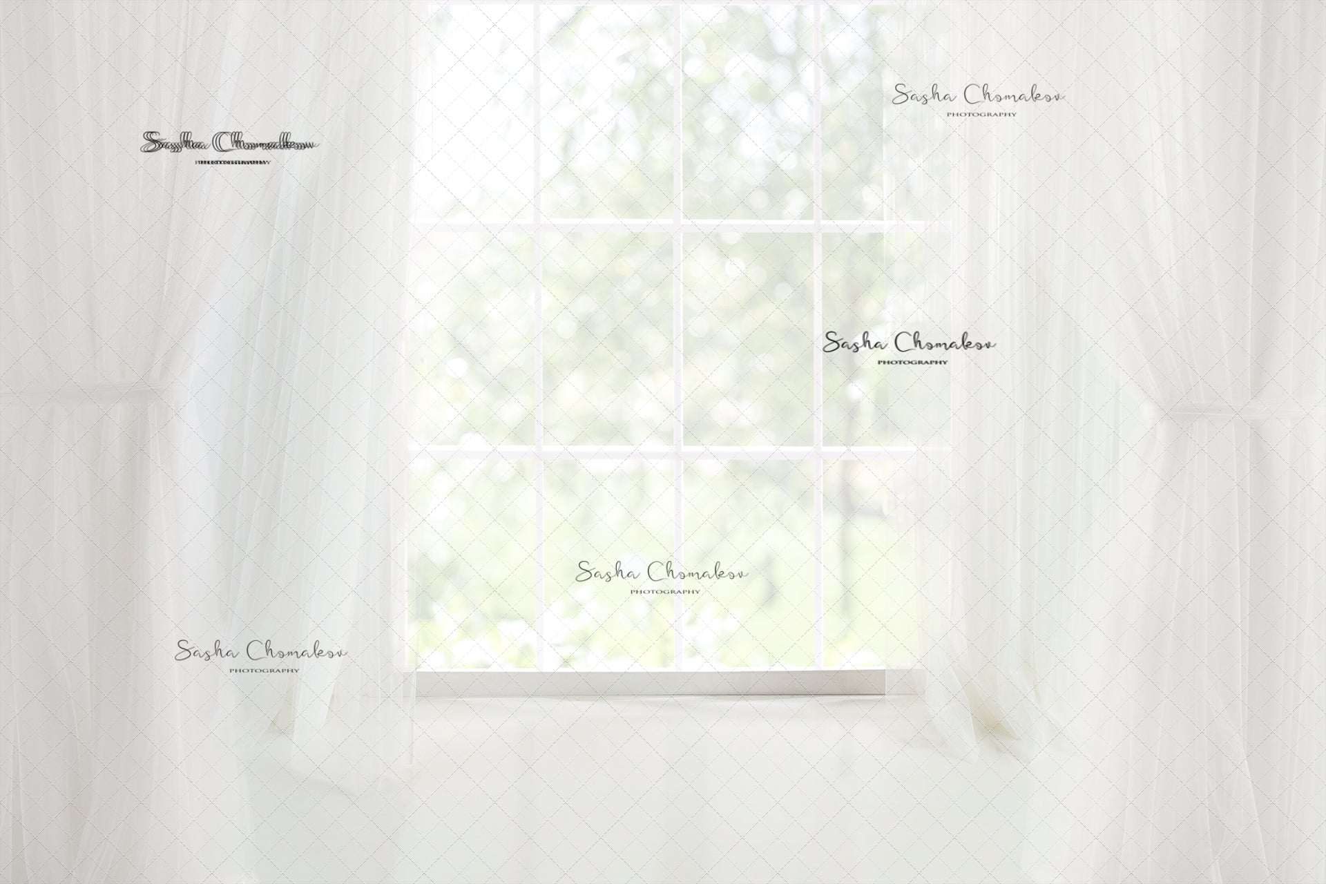 Digital Backdrop