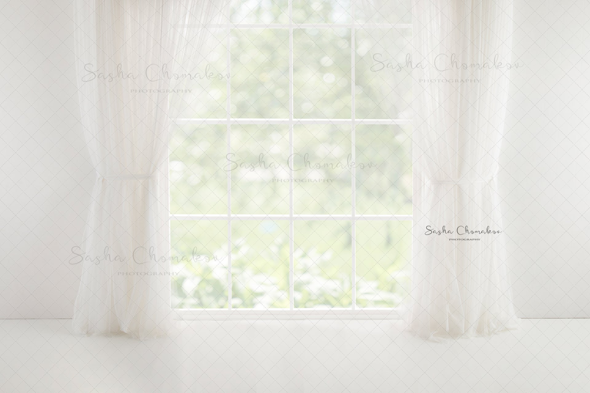 Digital Backdrop