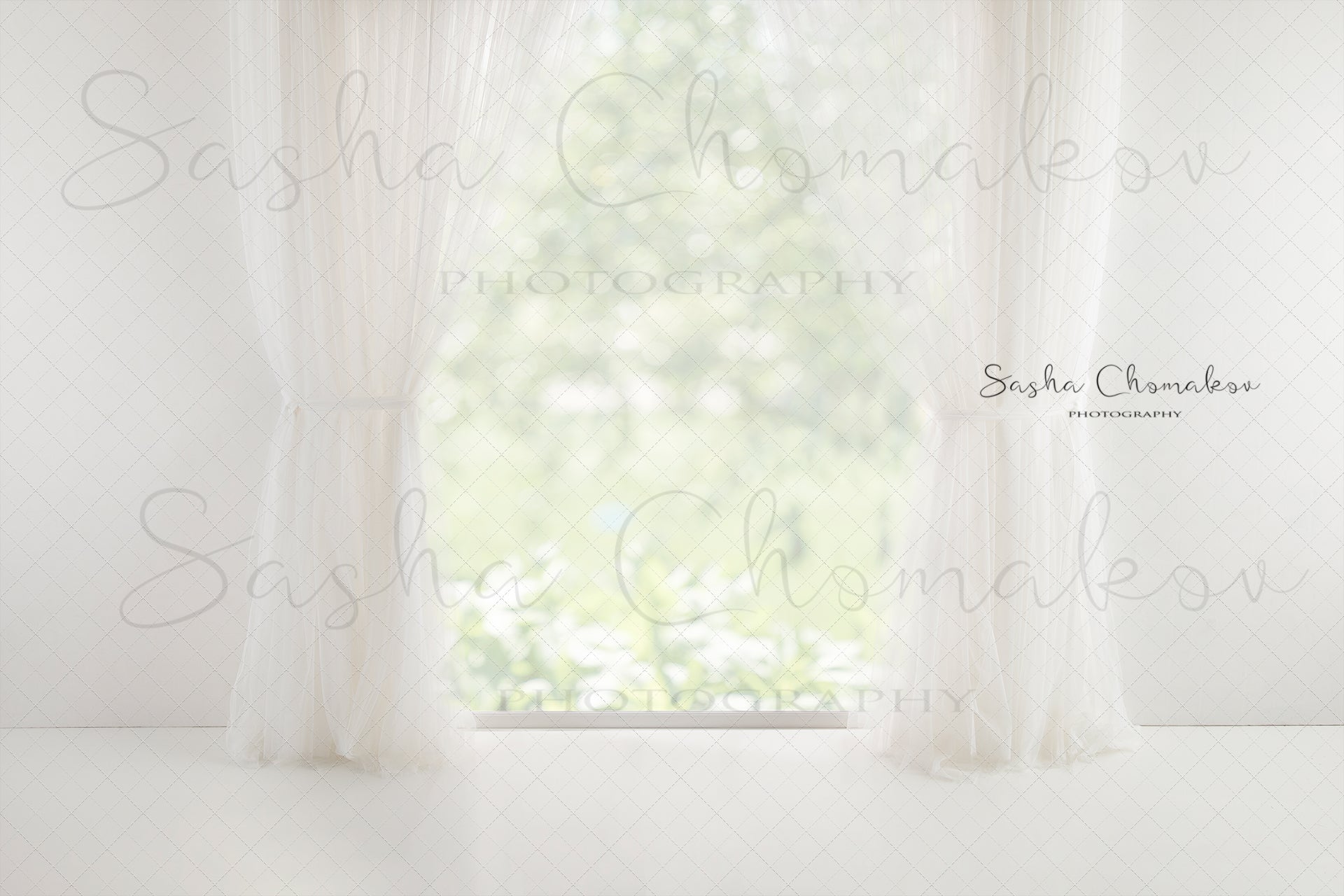 Digital Backdrop