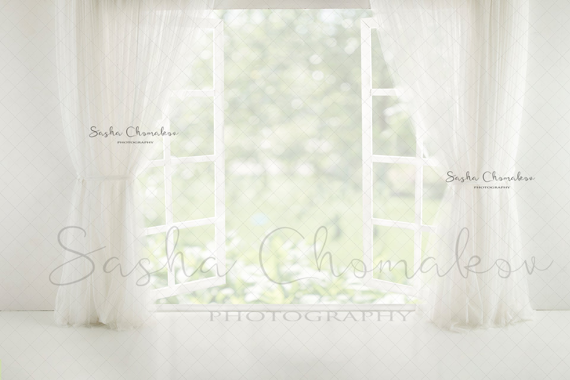 Digital Backdrop