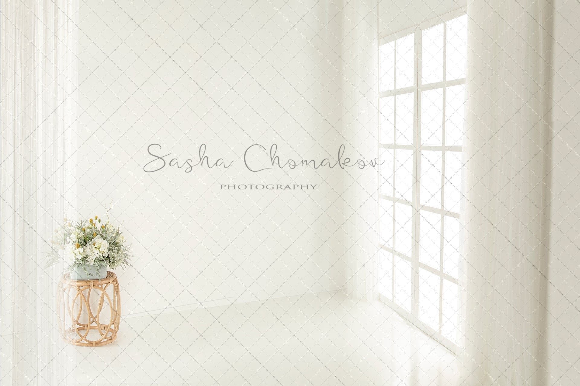 Digital Backdrop