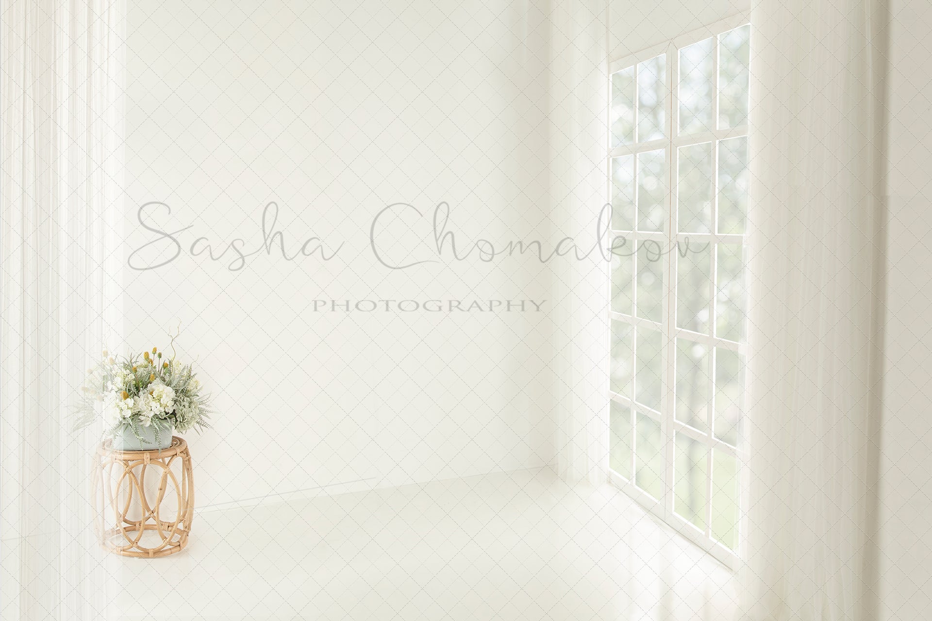 Digital Backdrop