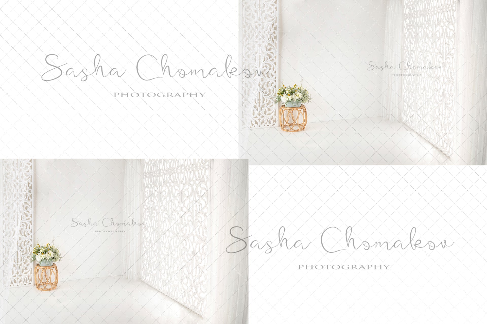Digital Backdrop