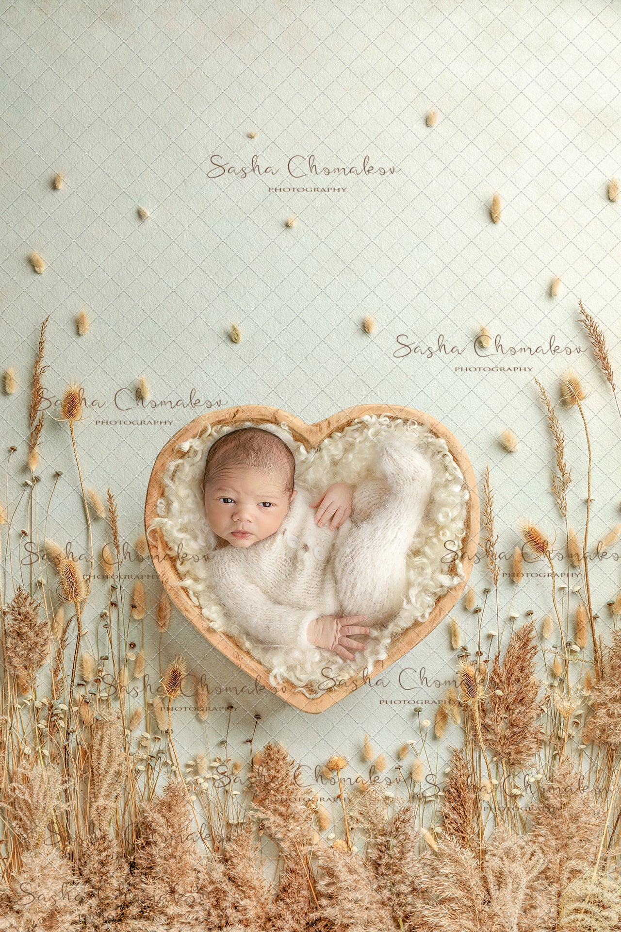Digital Backdrop