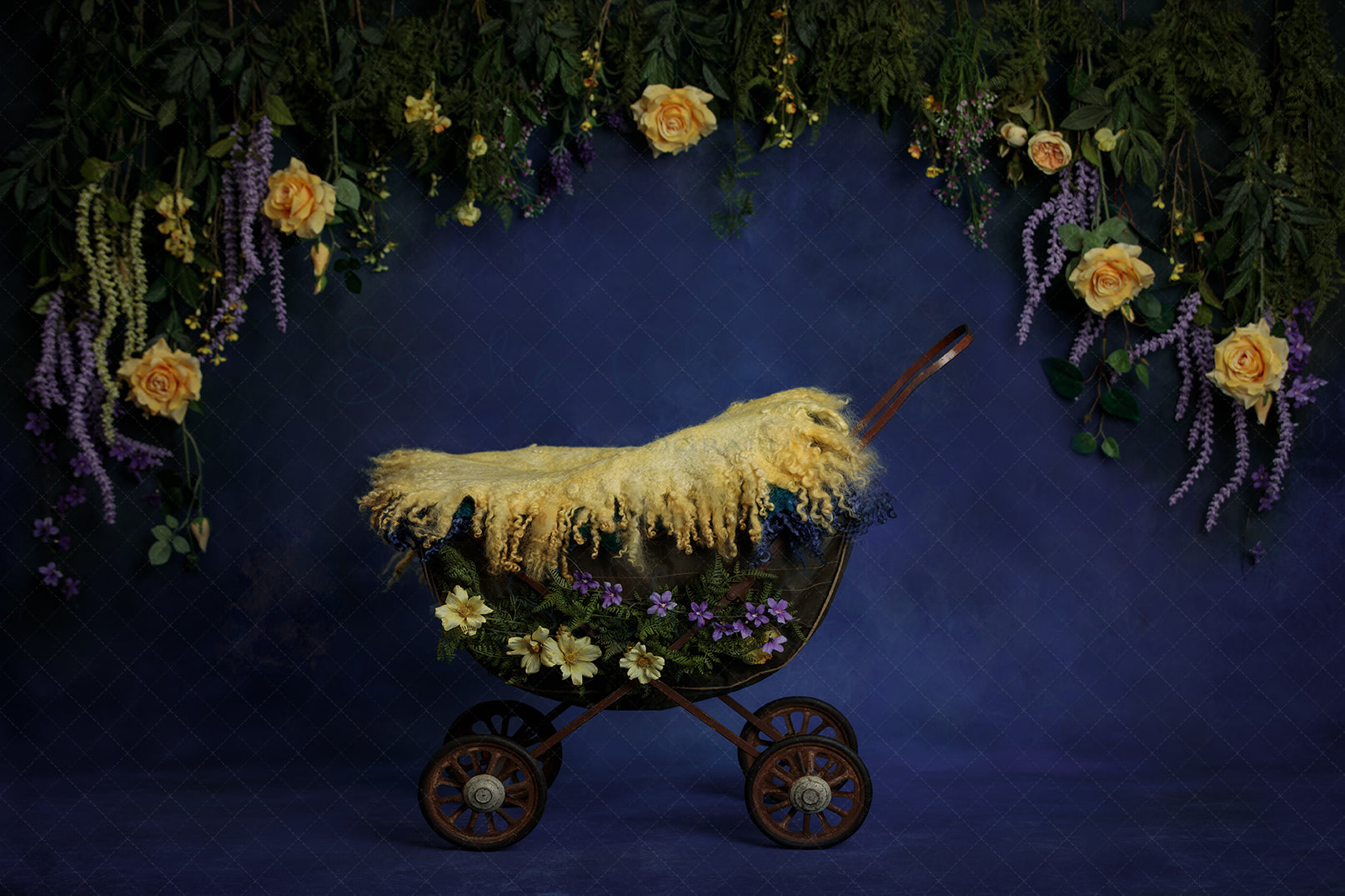 Digital Backdrop