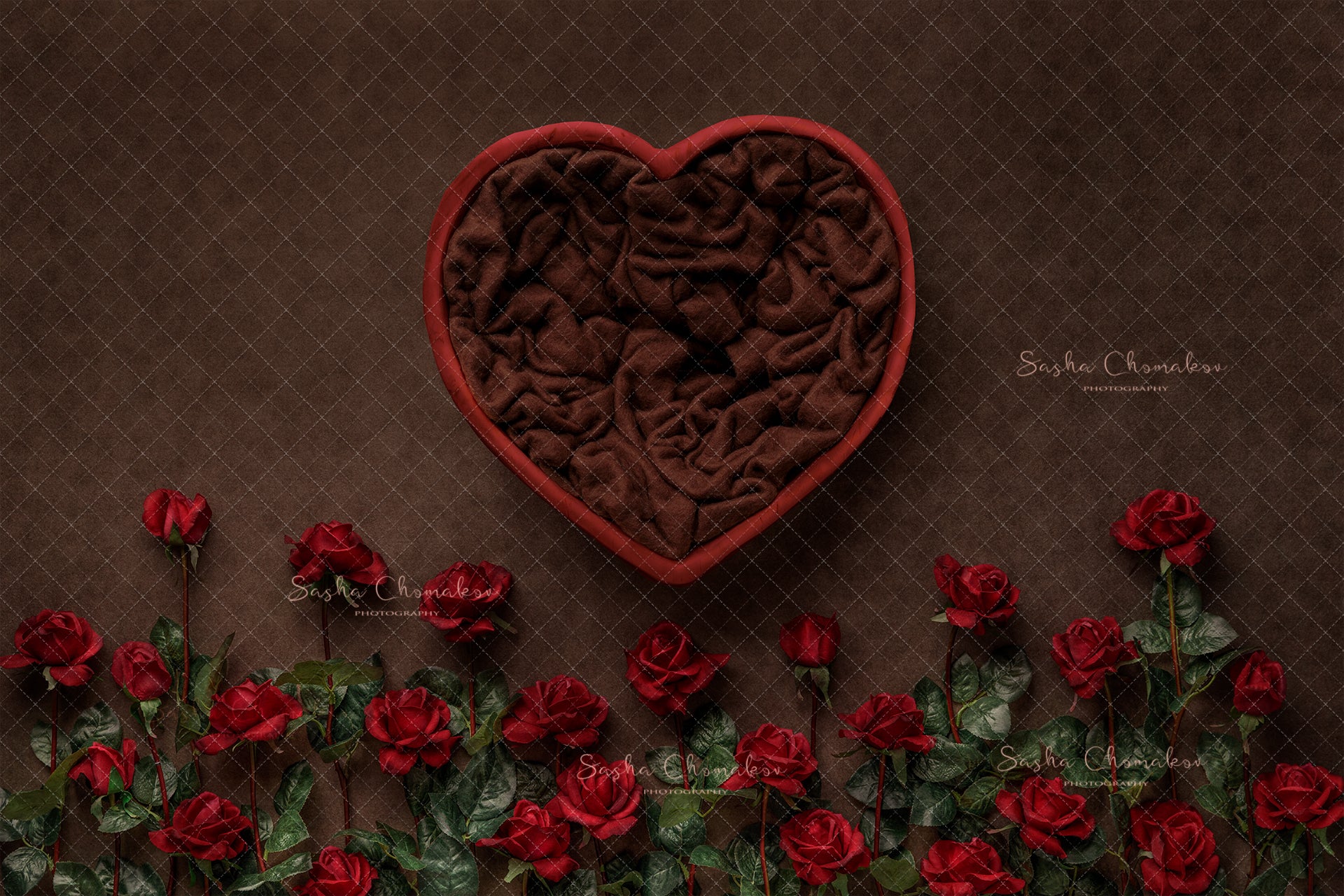 Digital Backdrop