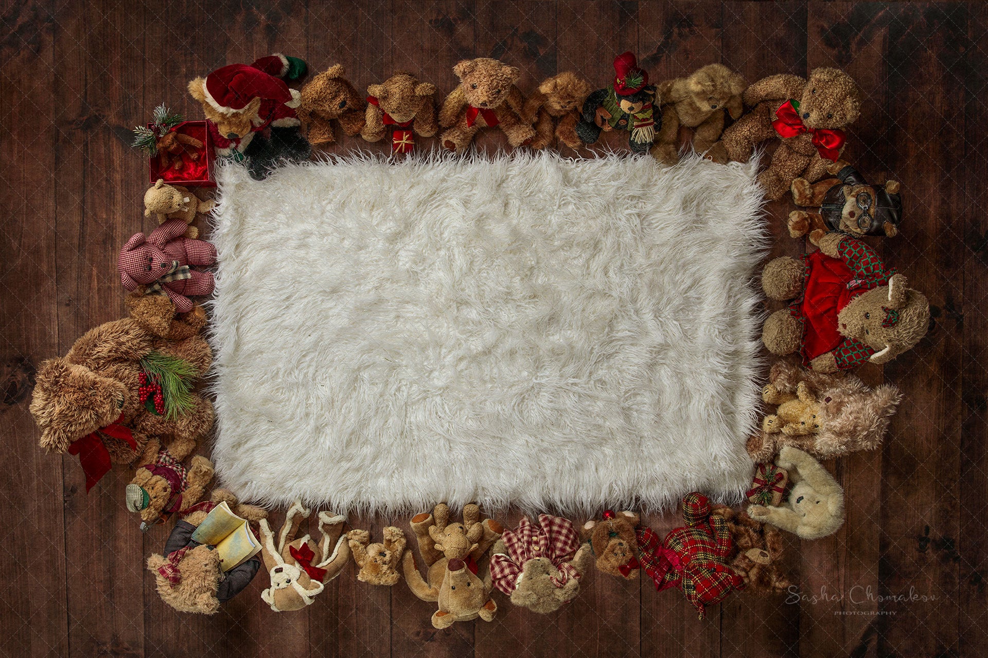 Digital Backdrop