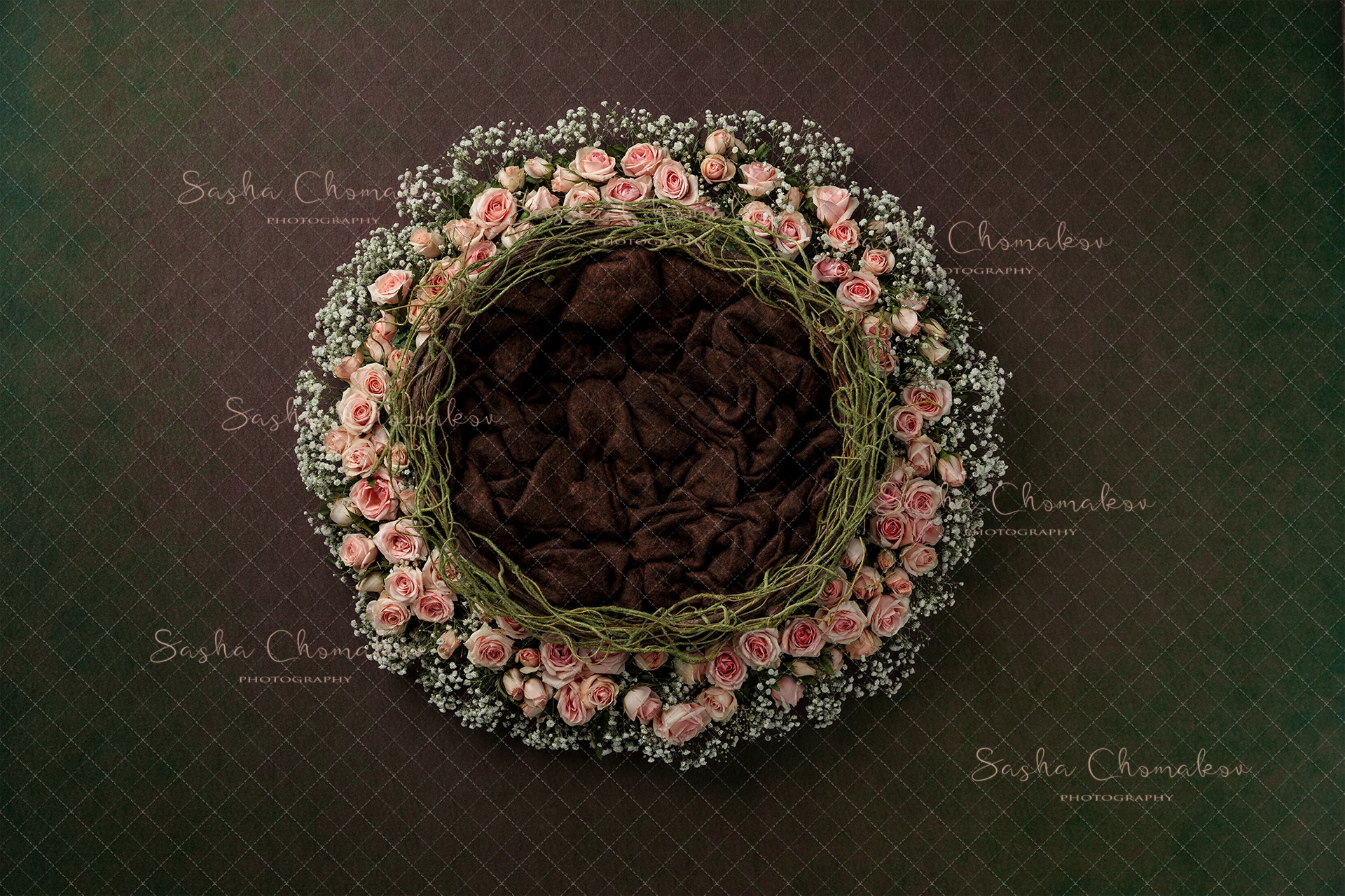 Digital Backdrop