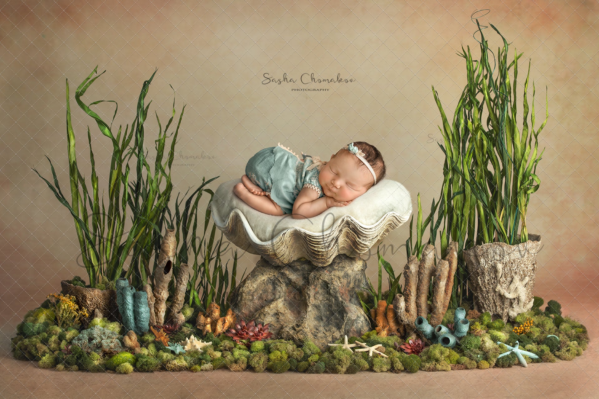 Digital Backdrop