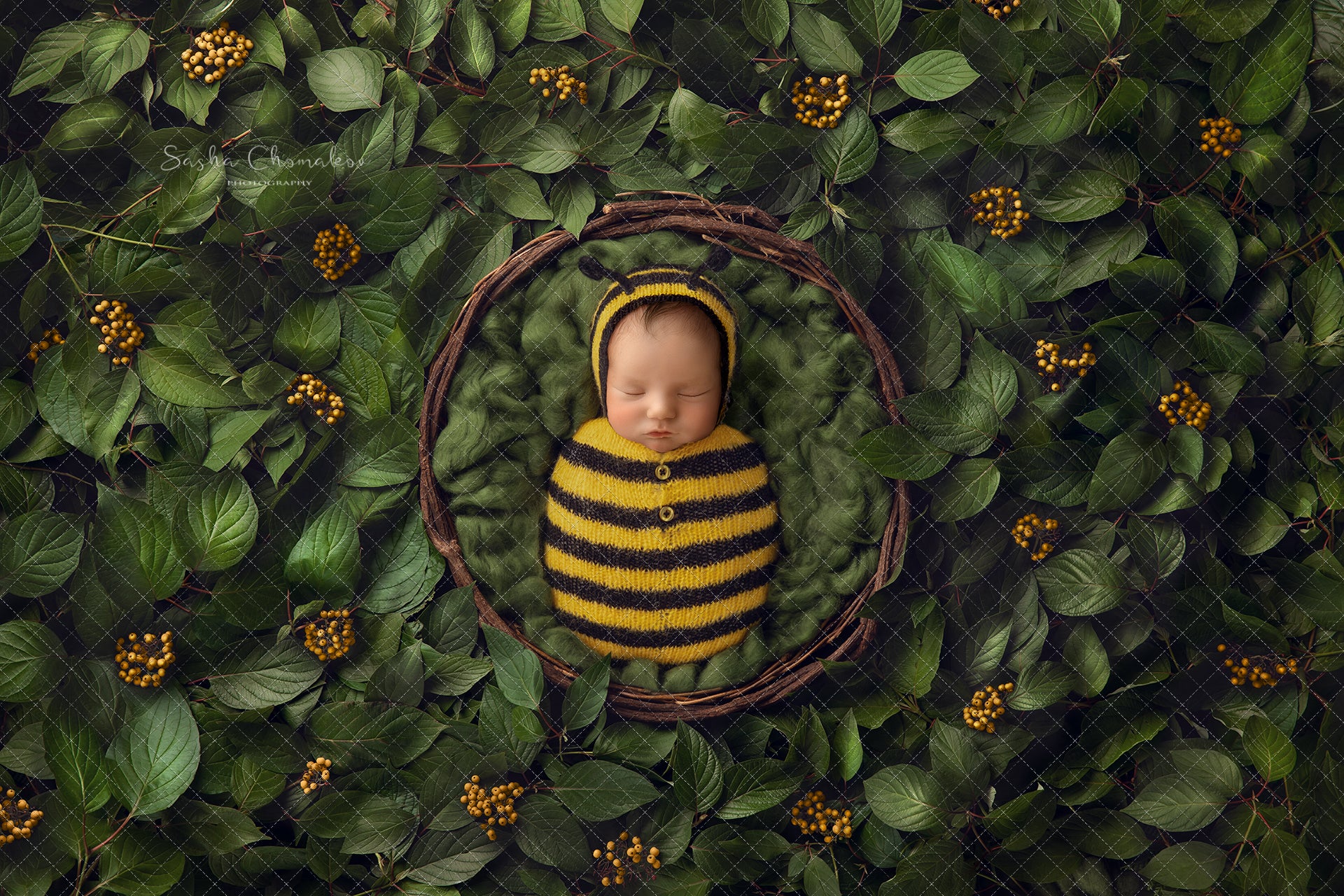Digital Backdrop