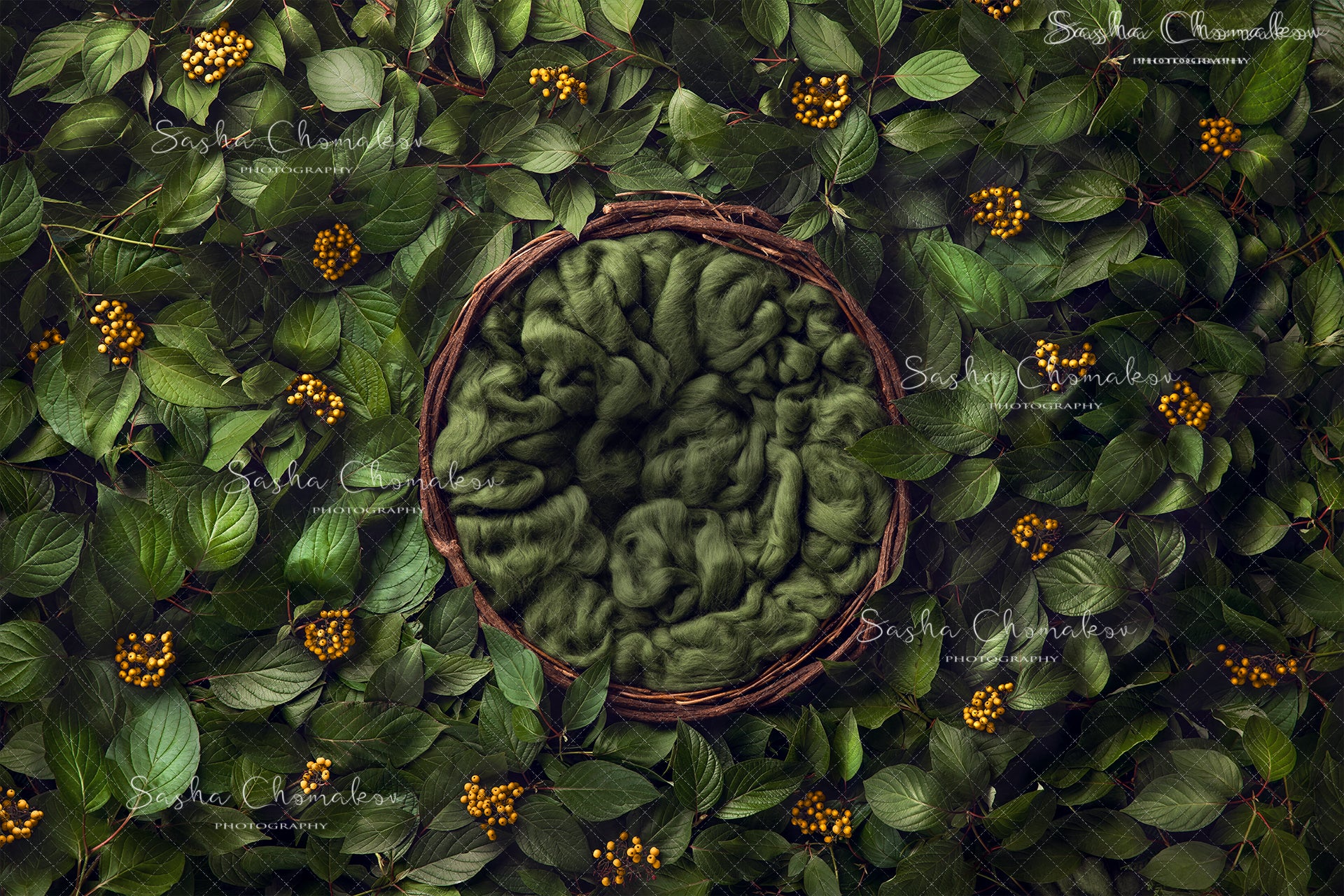 Digital Backdrop