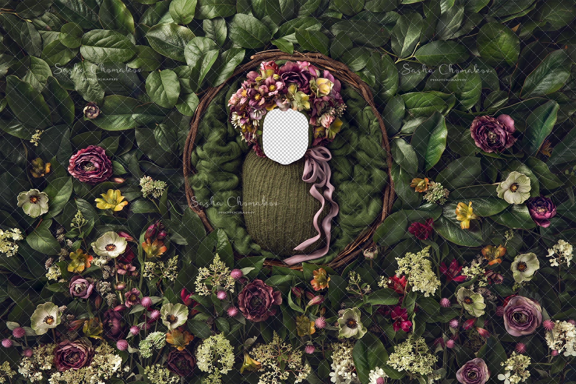Digital Backdrop