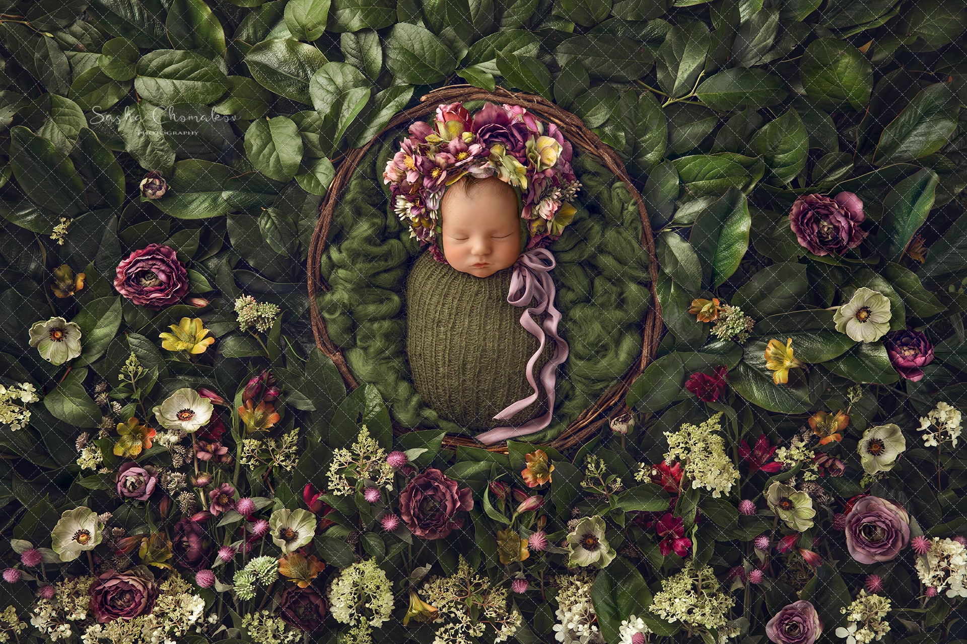 Digital Backdrop