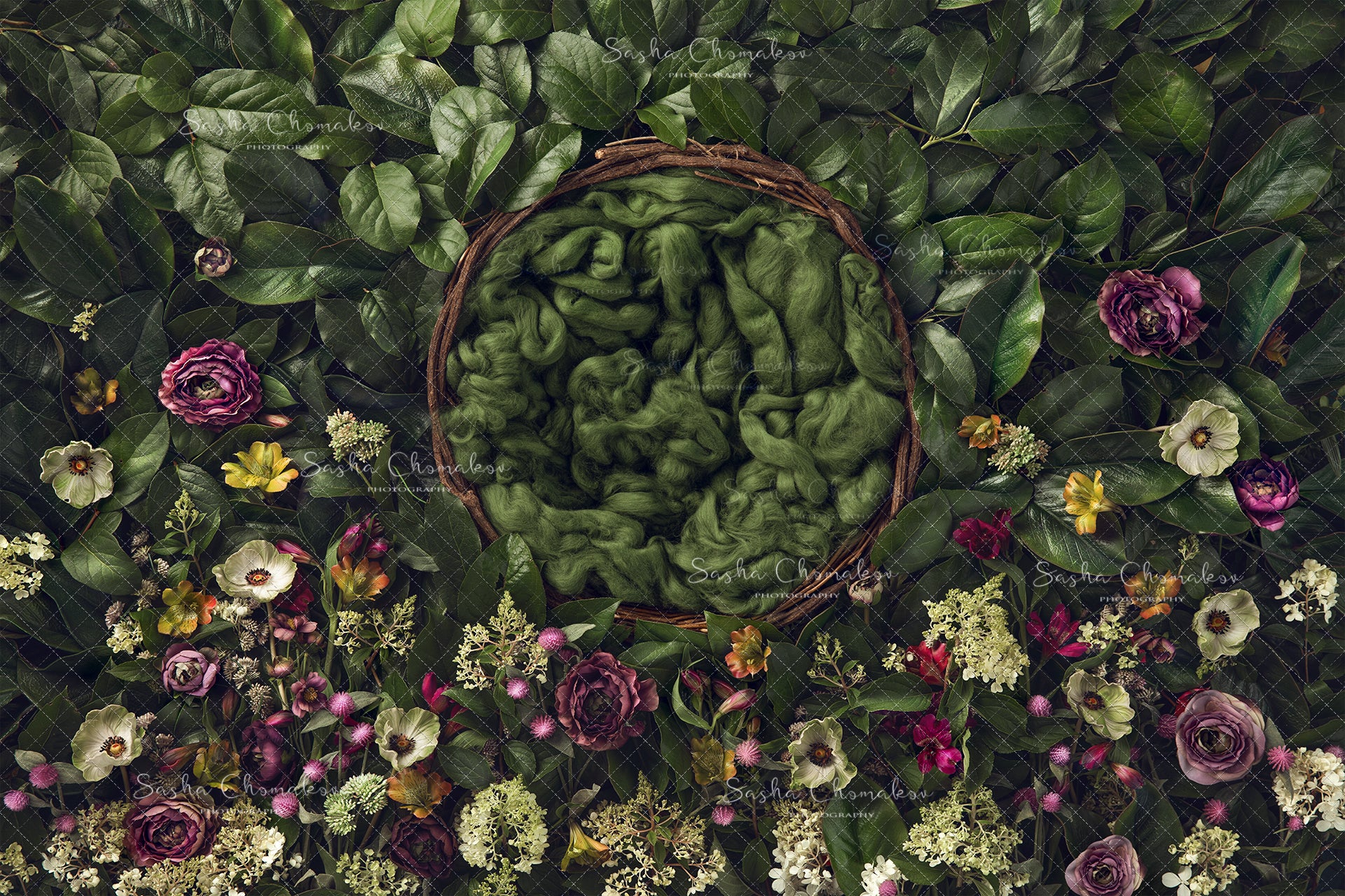 Digital Backdrop