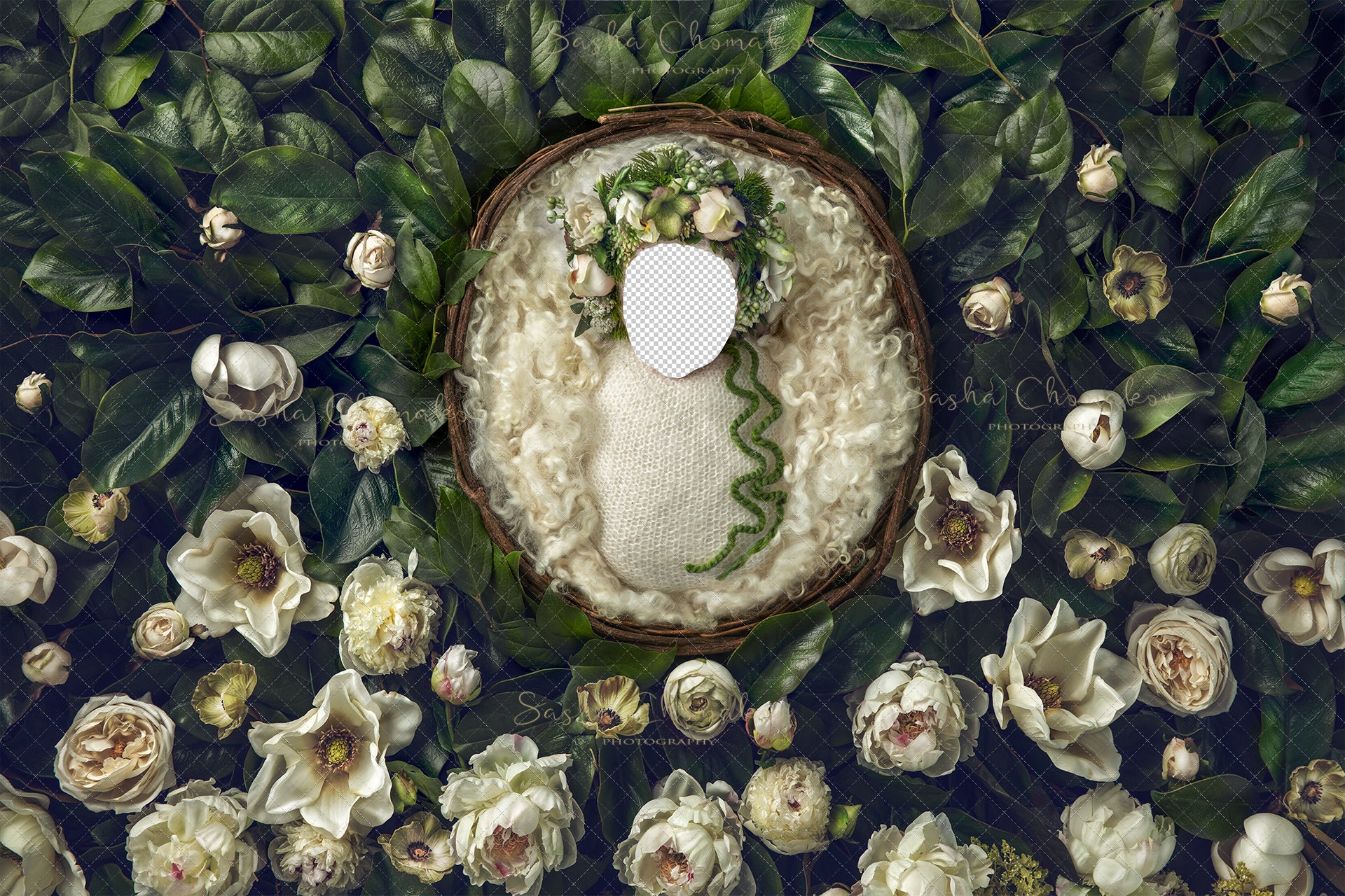 Digital Backdrop