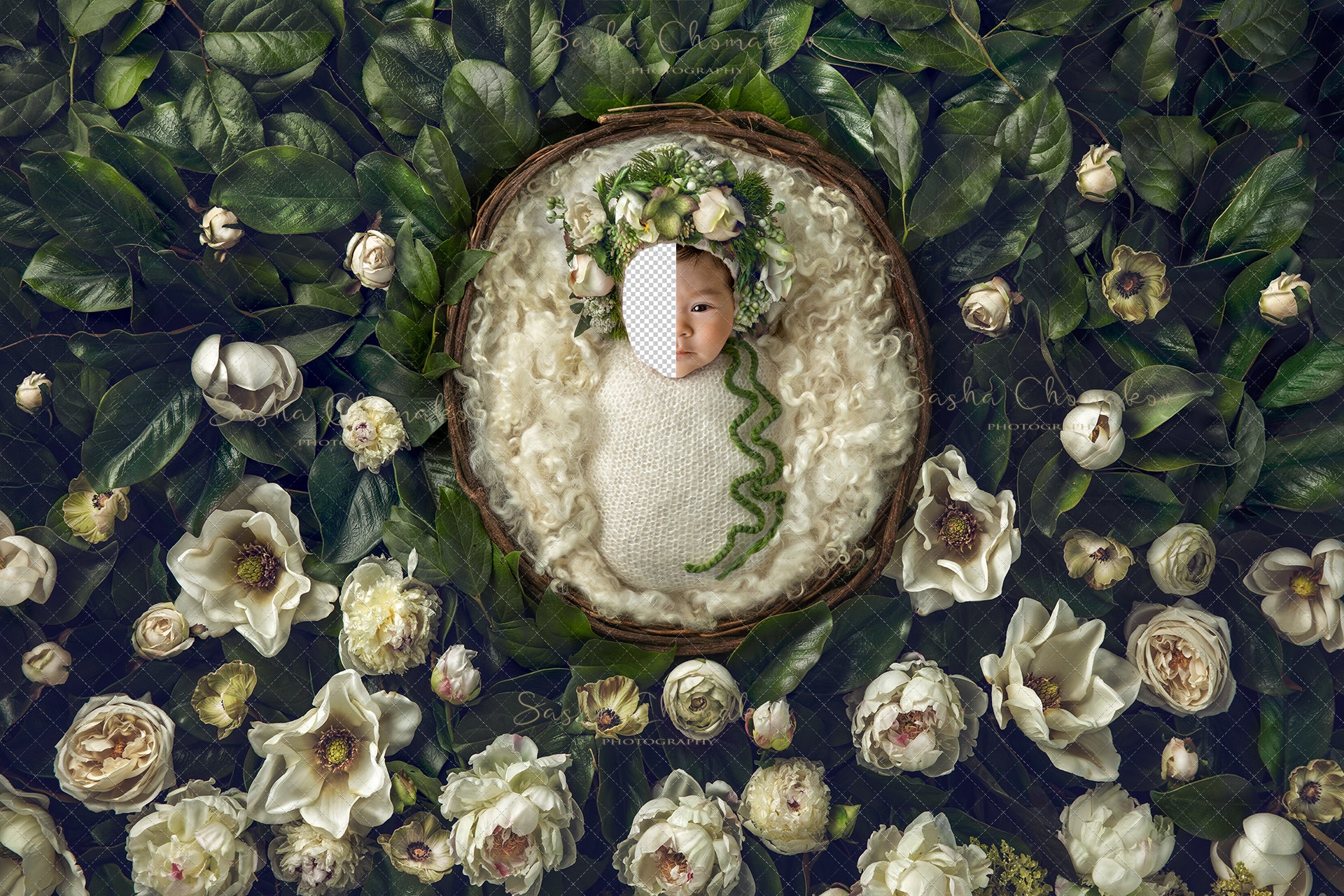 Digital Backdrop