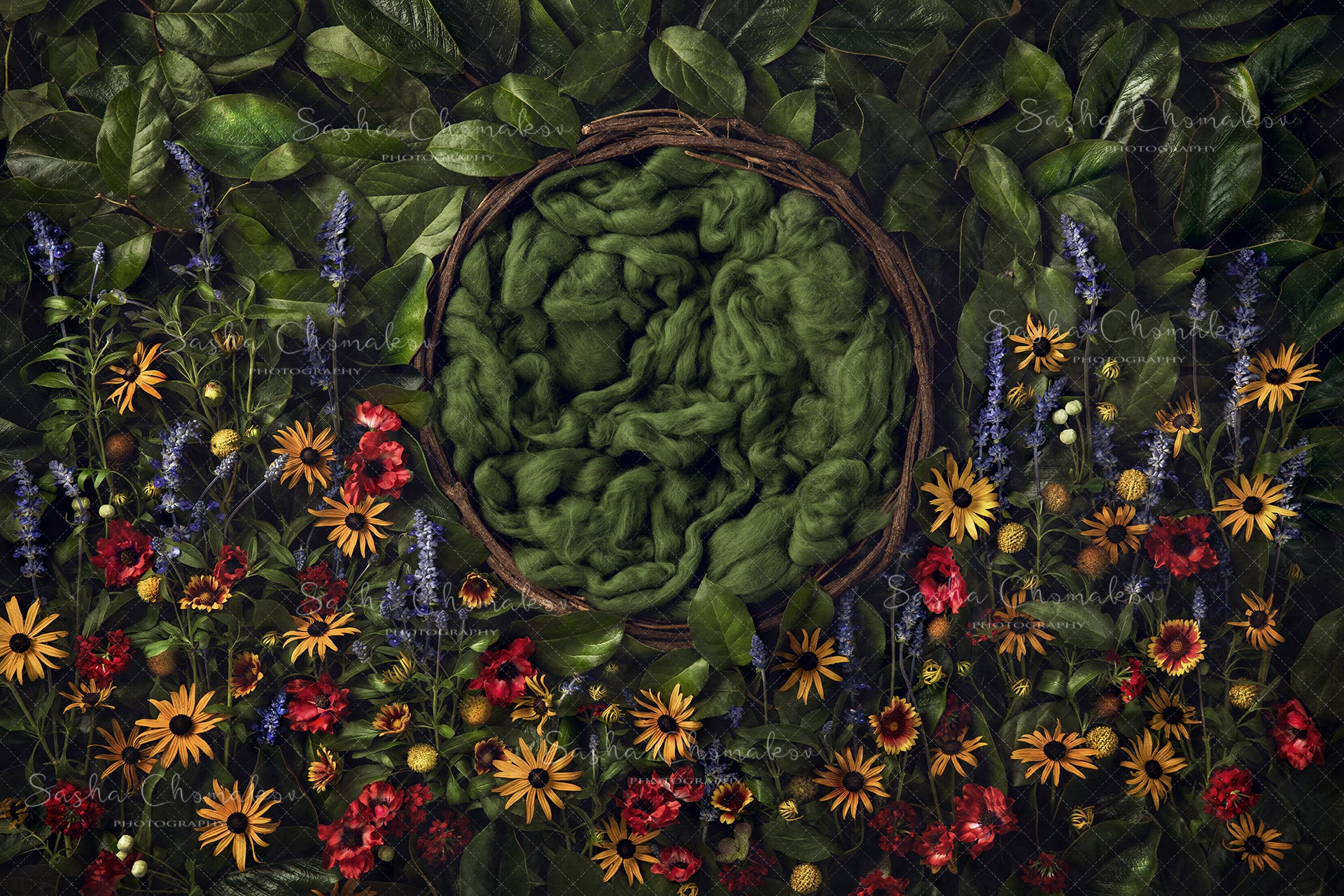 Digital Backdrop