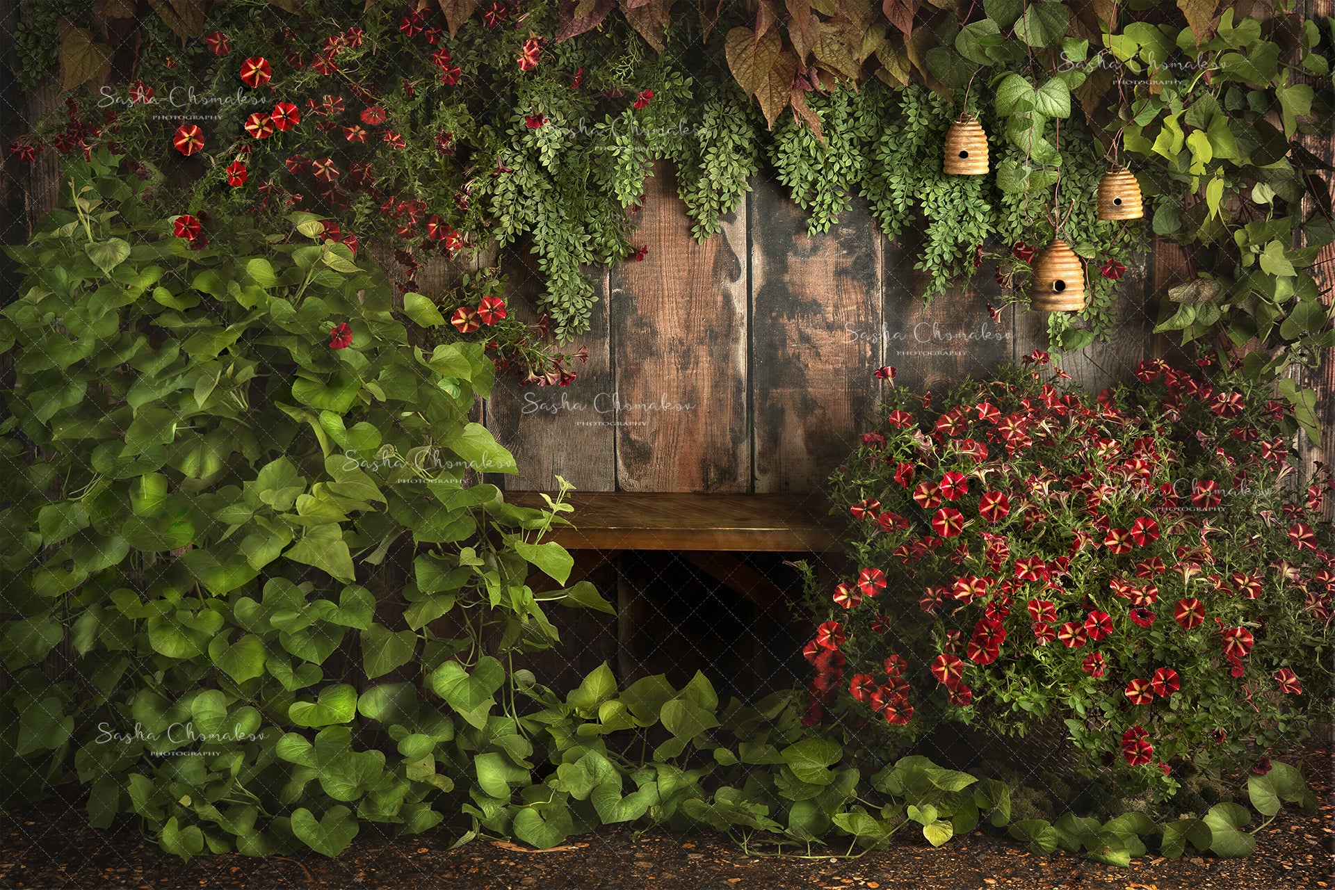 Digital Backdrop
