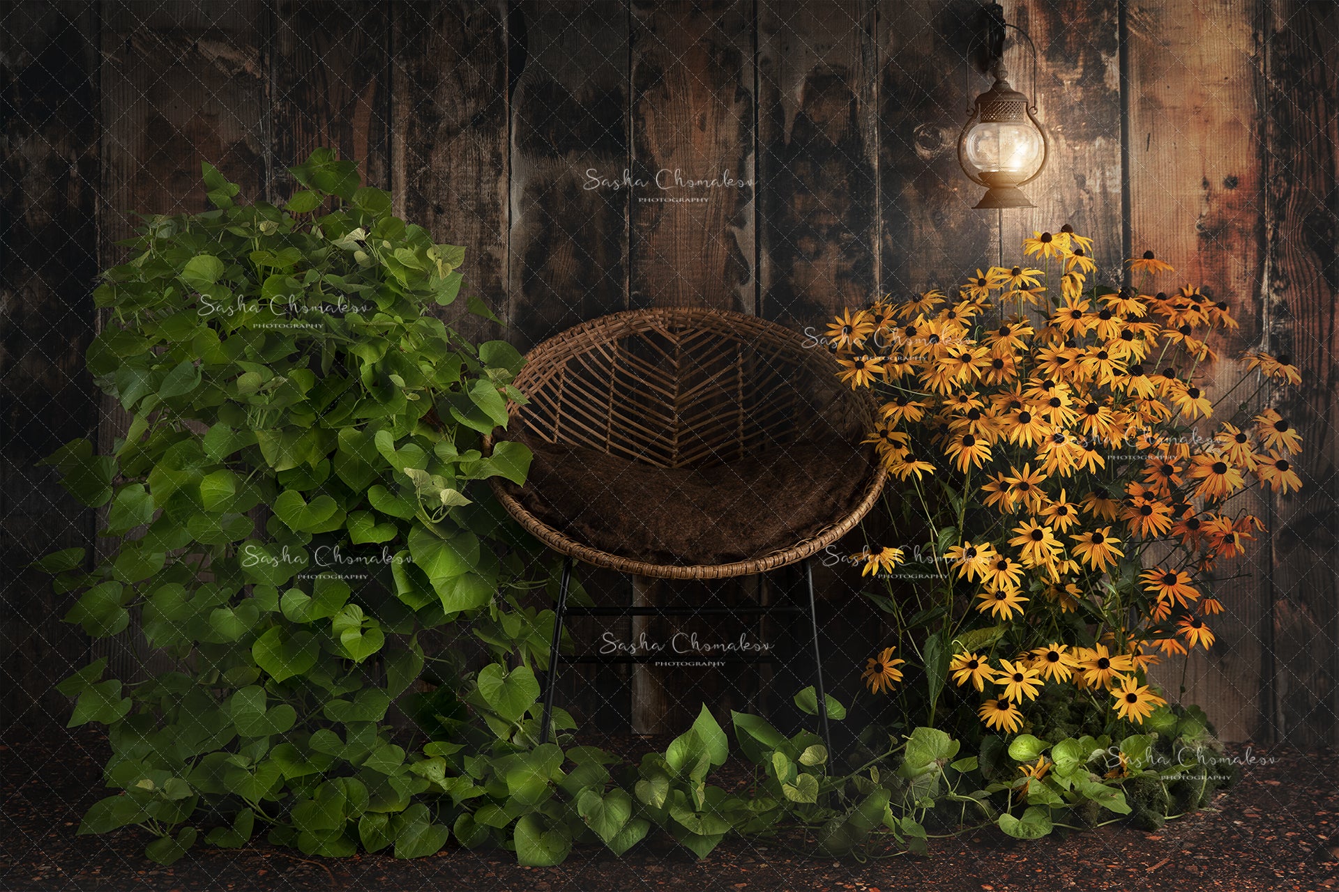 Digital Backdrop
