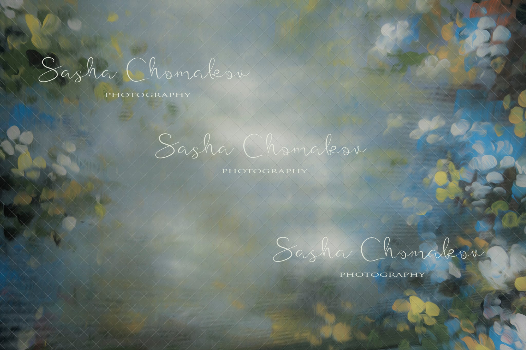 Painted Digital Backdrop