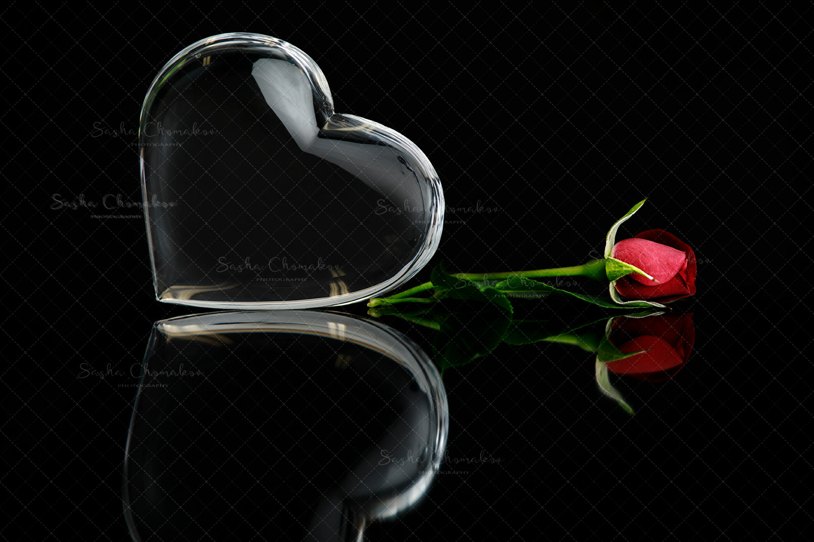 Digital Backdrop