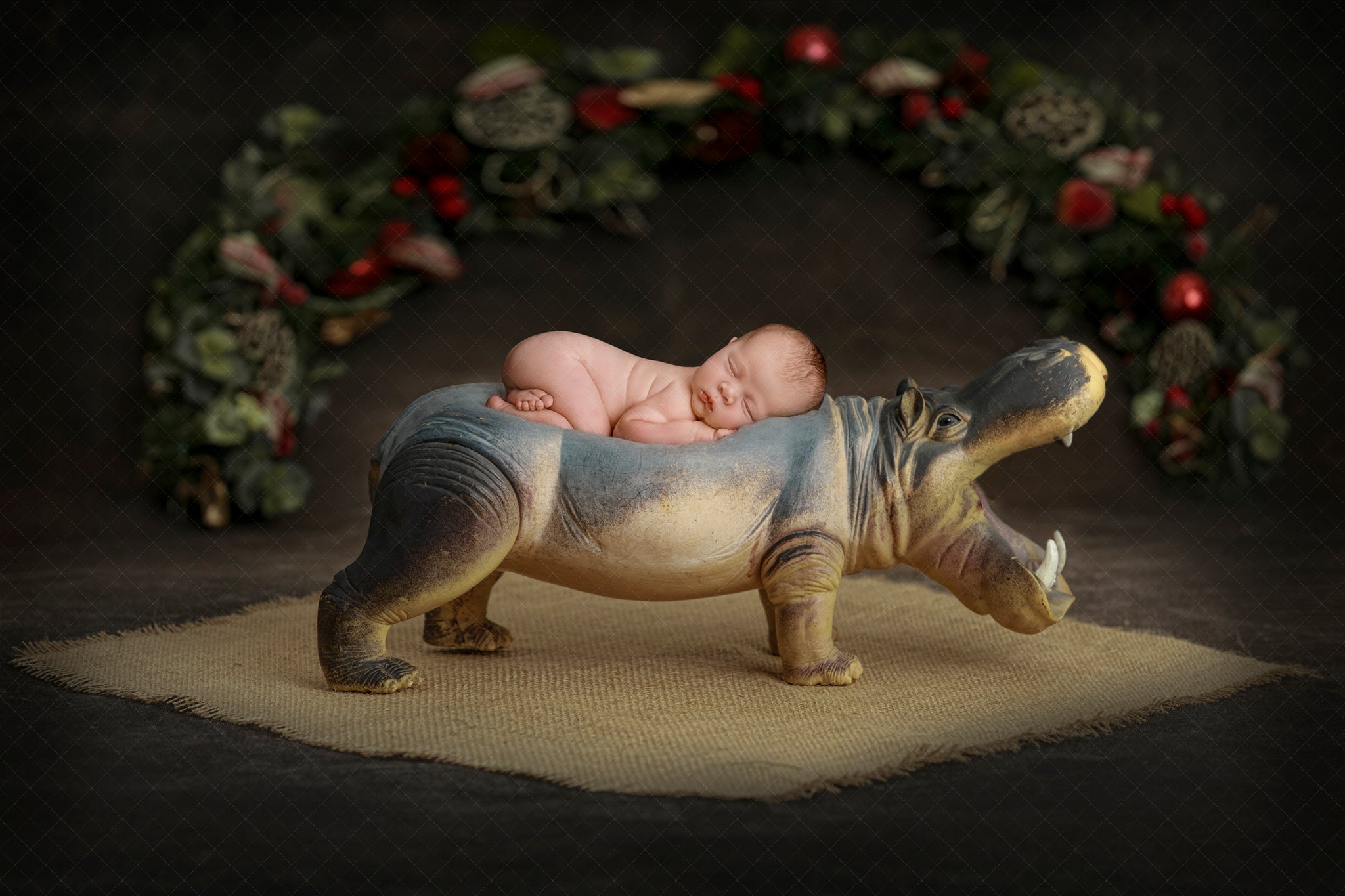 Digital background hippo