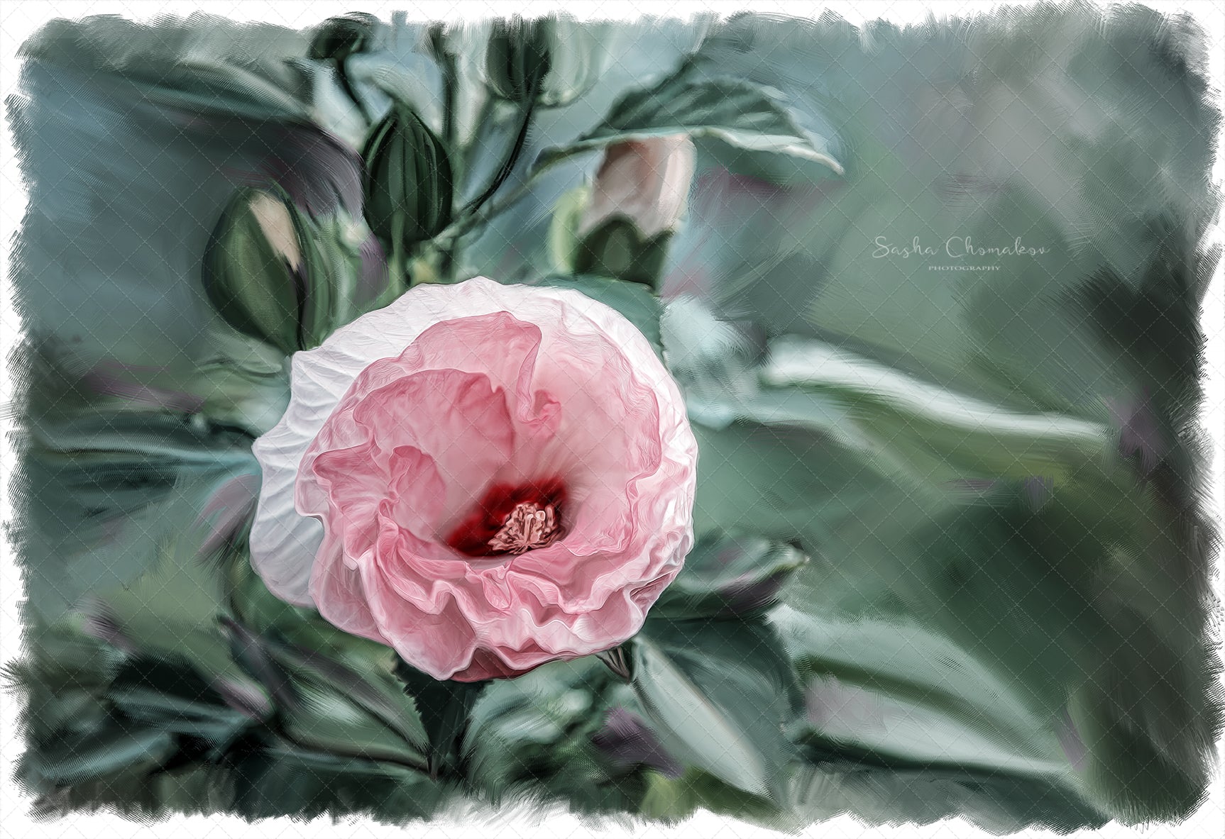 Digital Backdrop