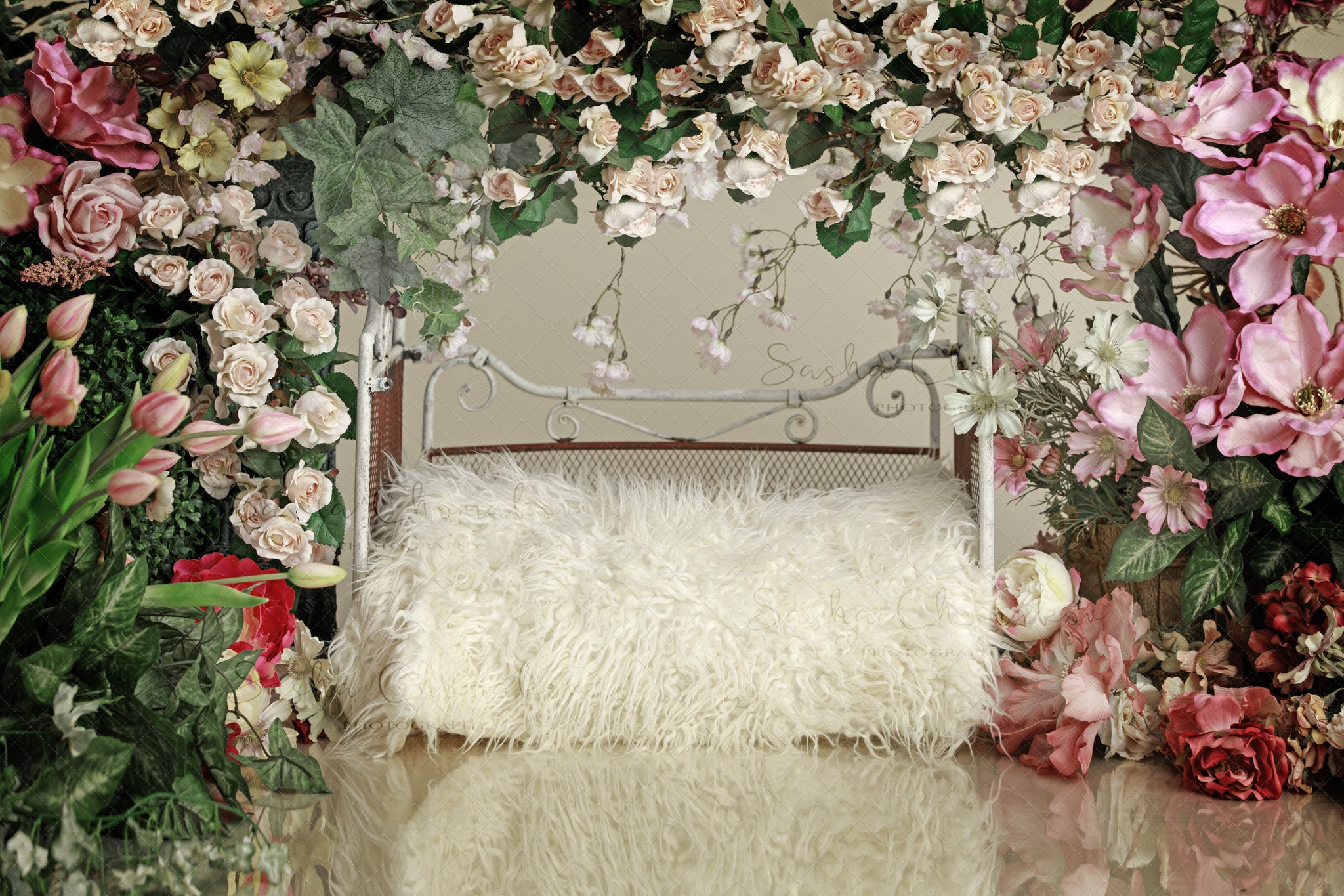 Digital Backdrop