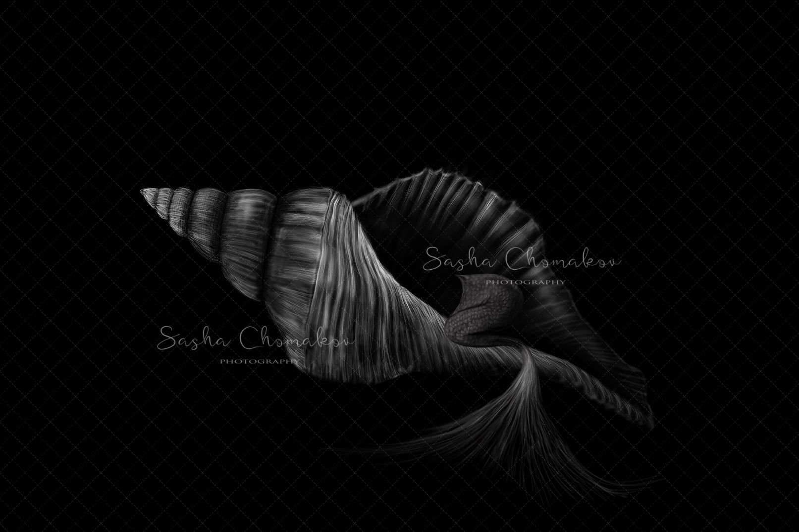 Digital Backdrop