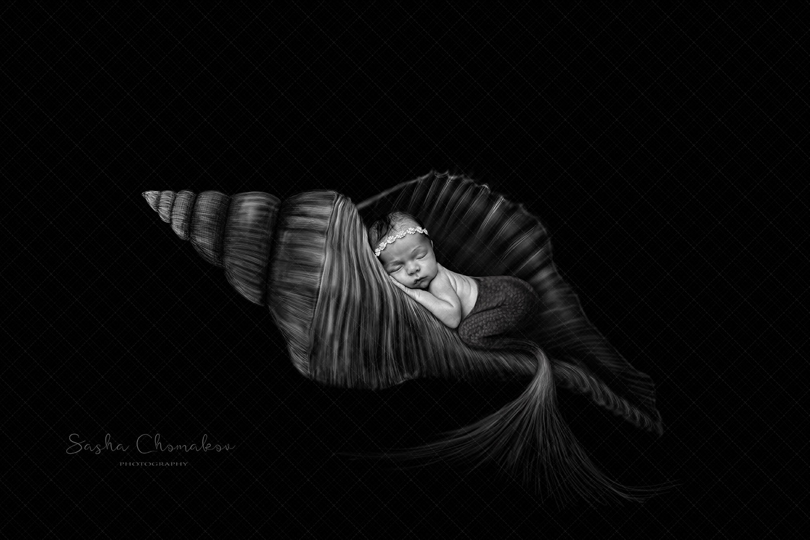 Digital Backdrop